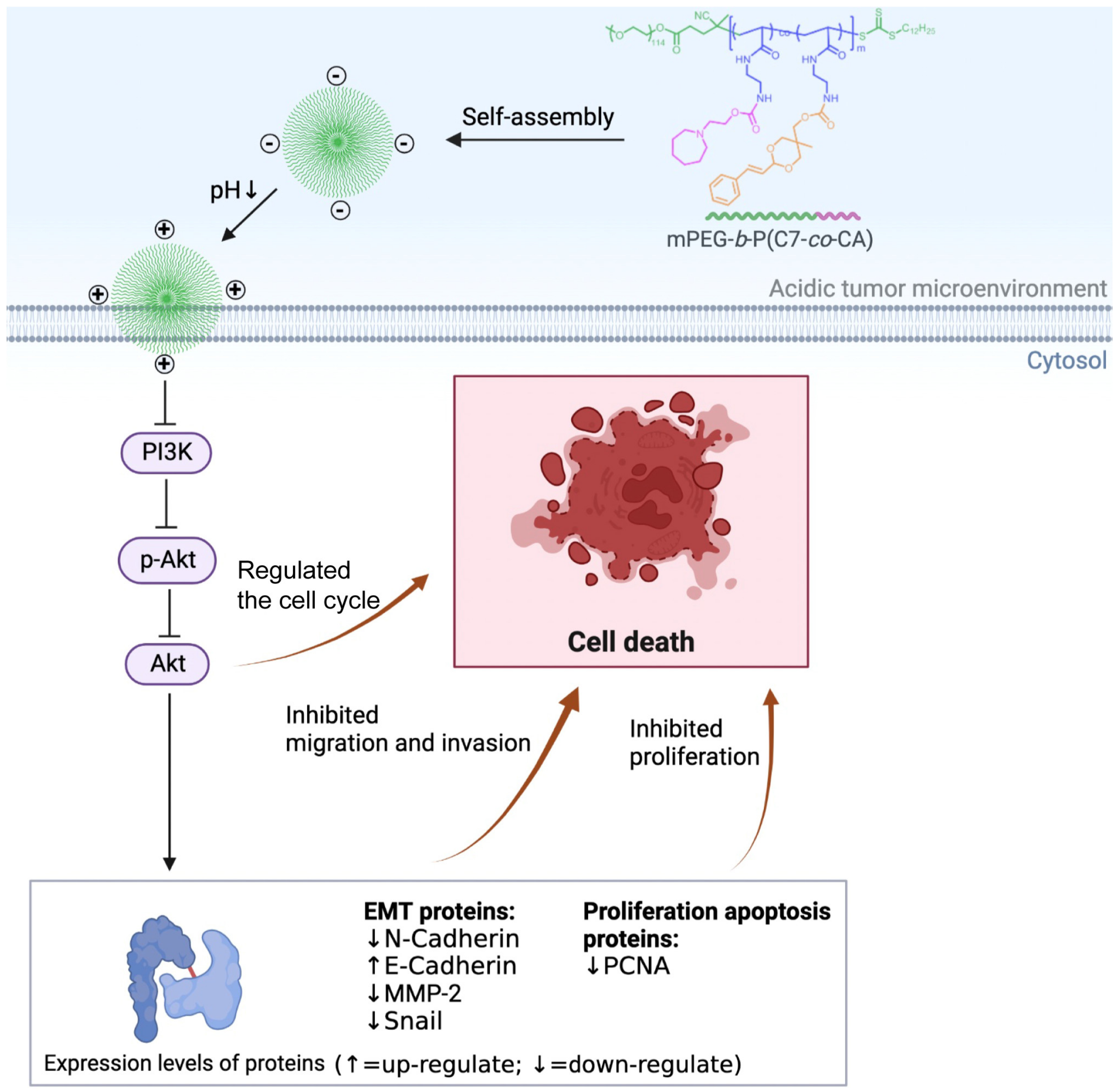 Biomedicines 11 01524 sch001
