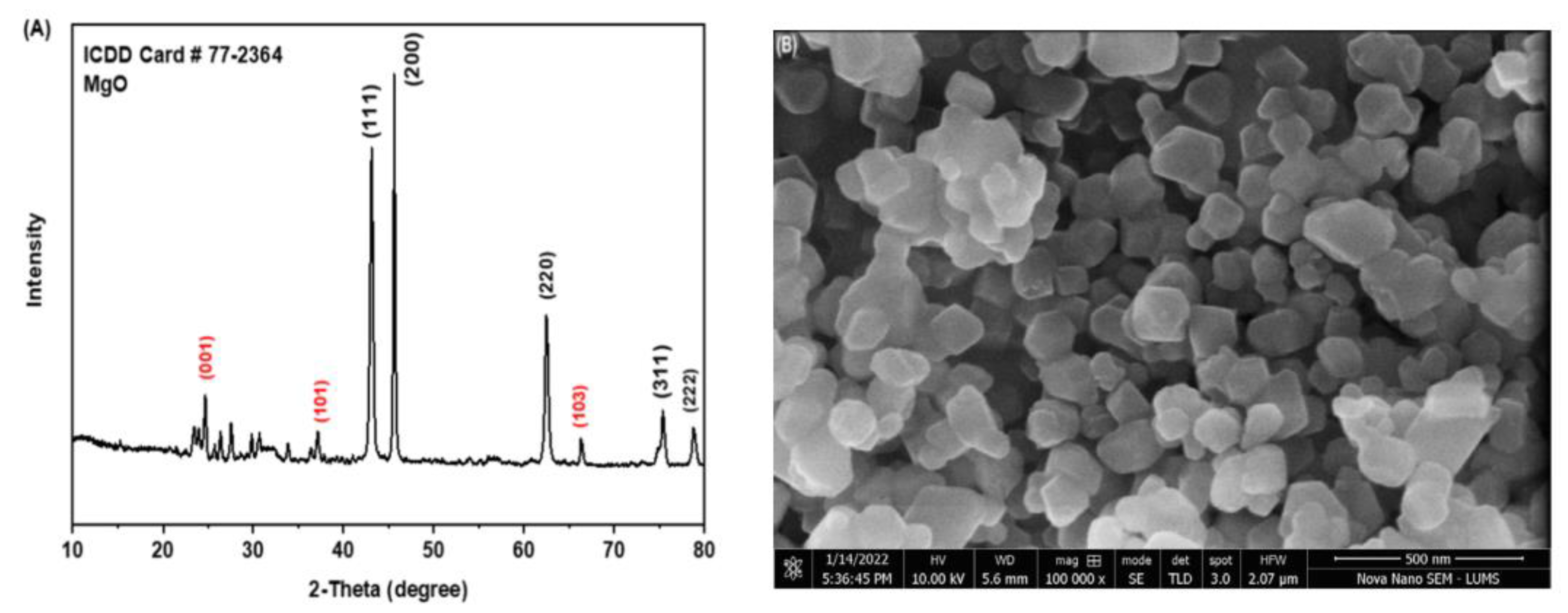 Biomedicines 11 01959 g001