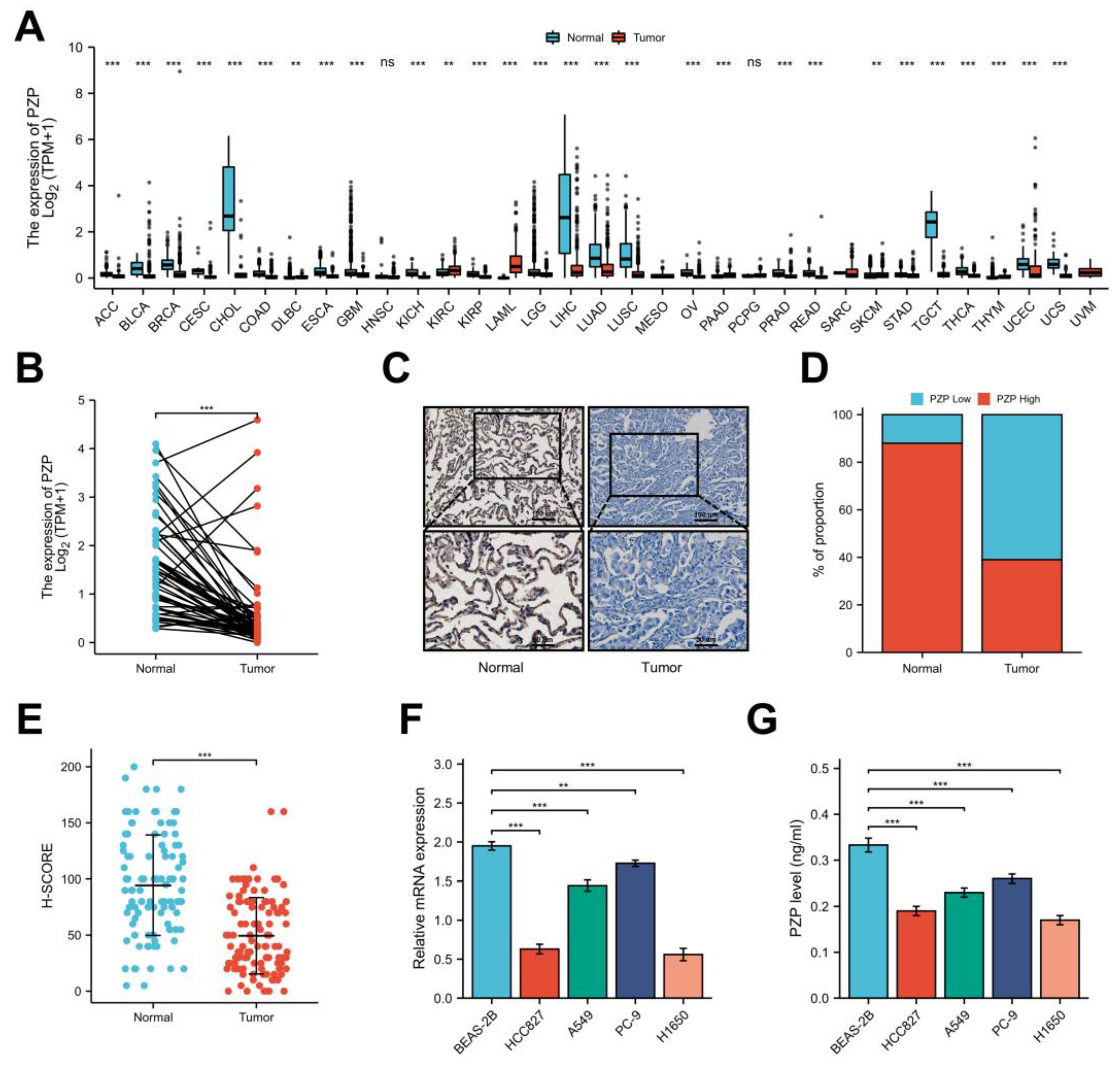 Biomedicines 11 01978 g001