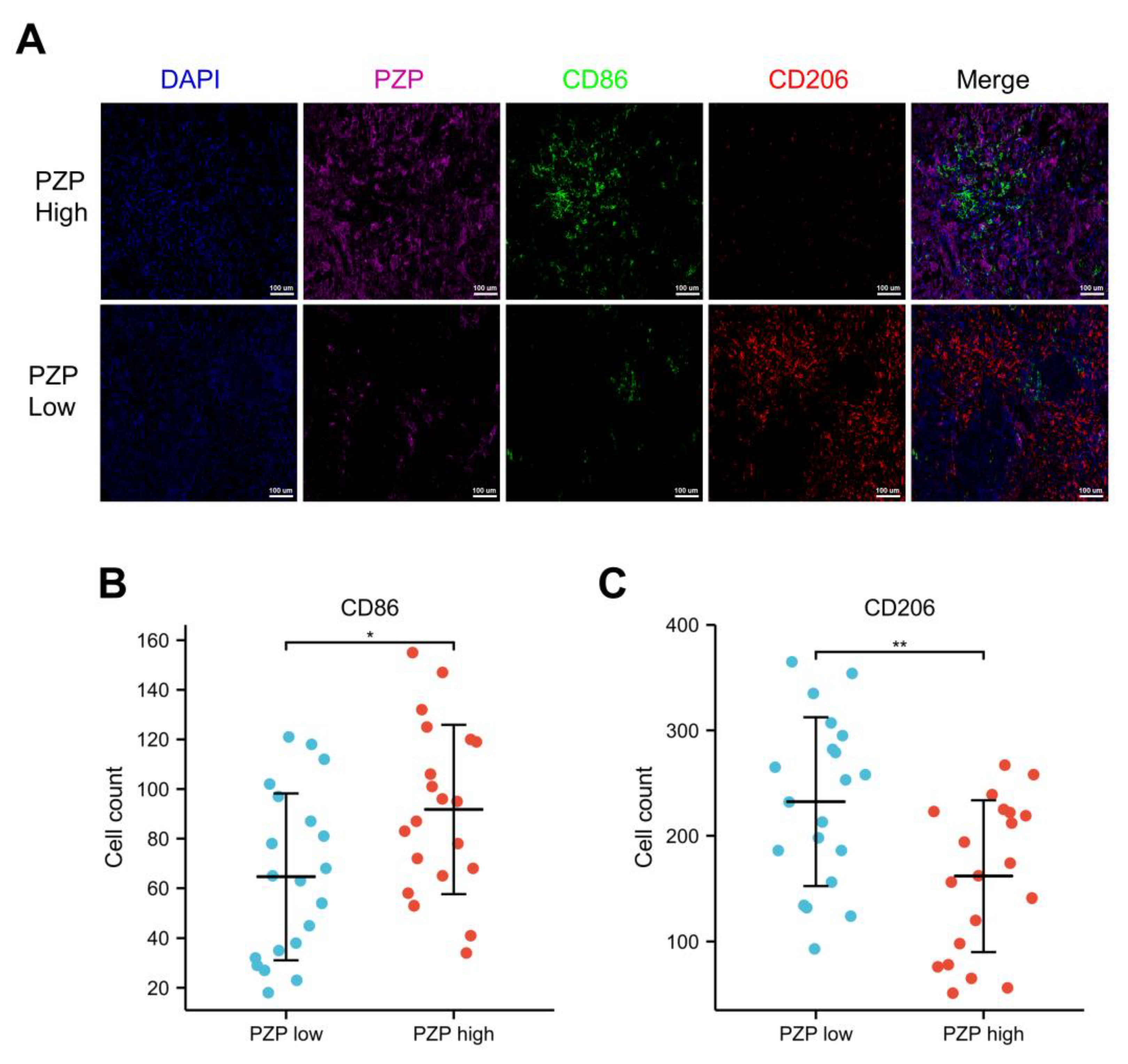 Biomedicines 11 01978 g005