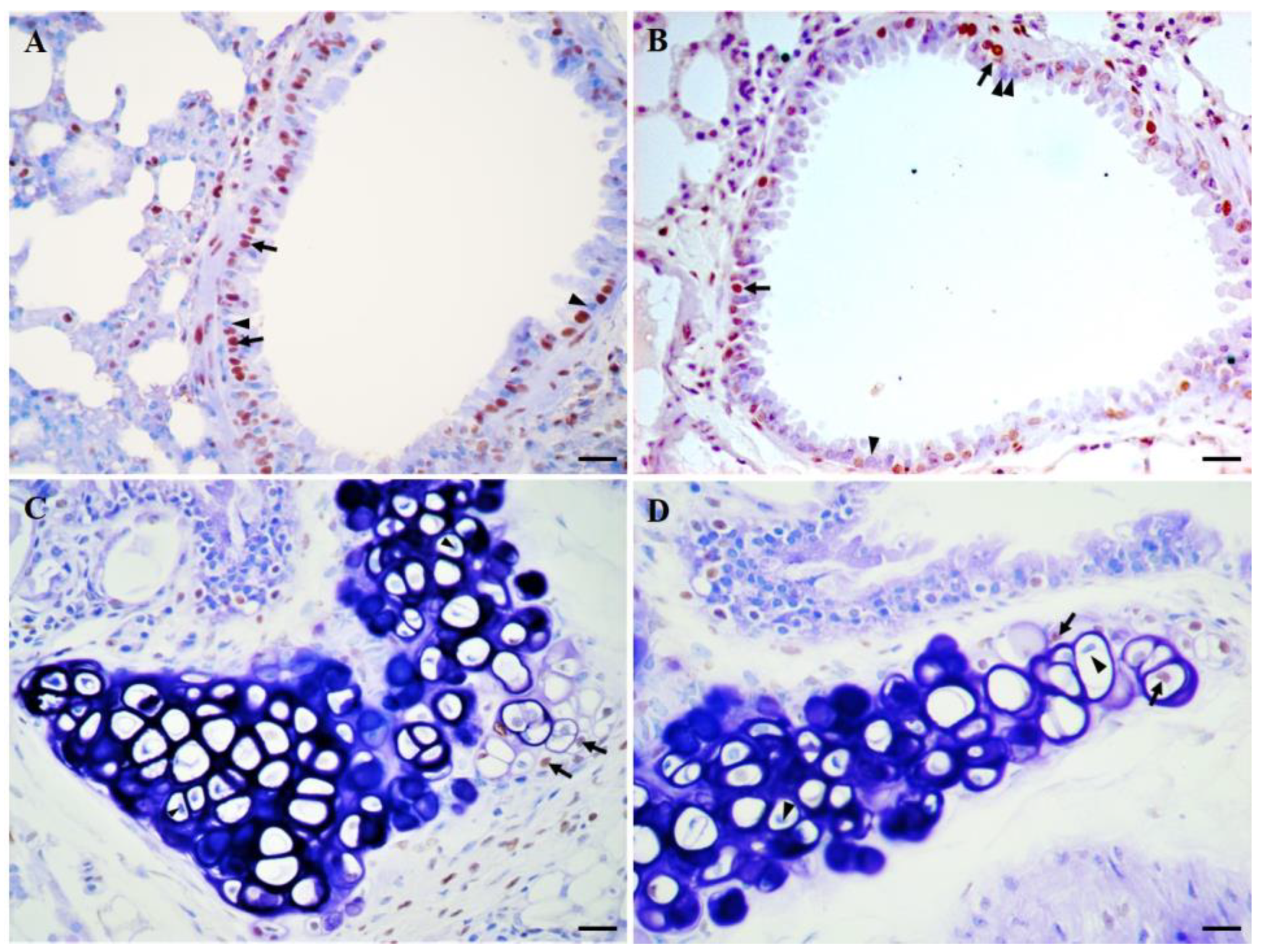 Biomedicines 11 02075 g001