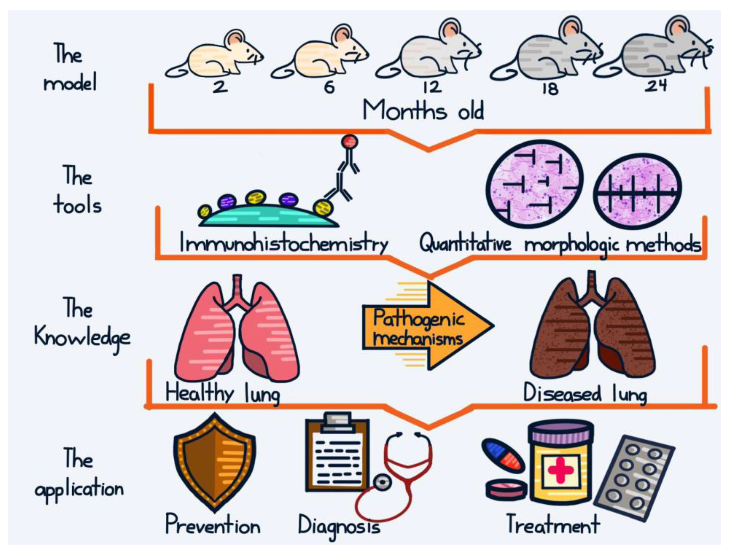 Biomedicines 11 02075 g003