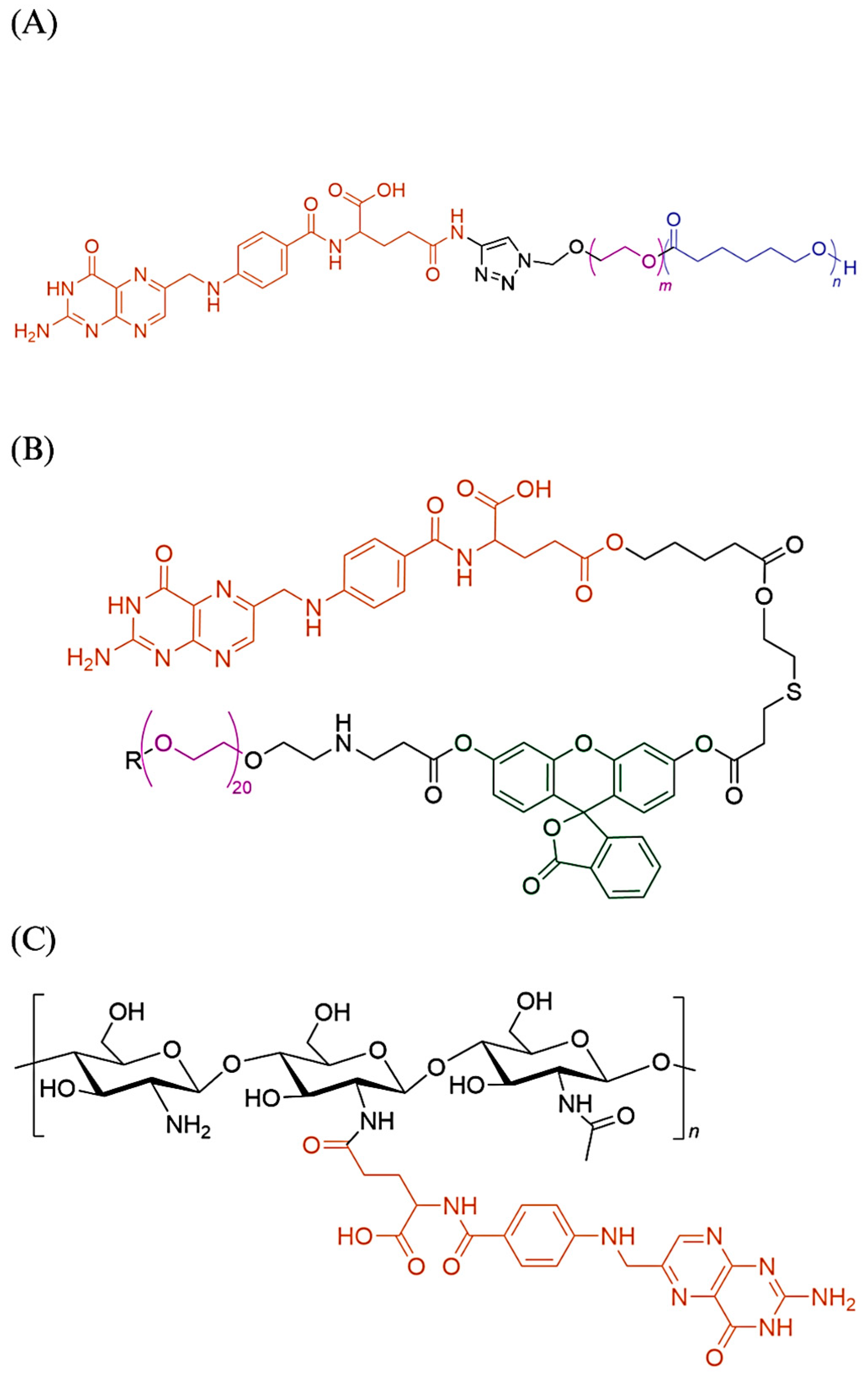 Biomedicines 11 02080 g003