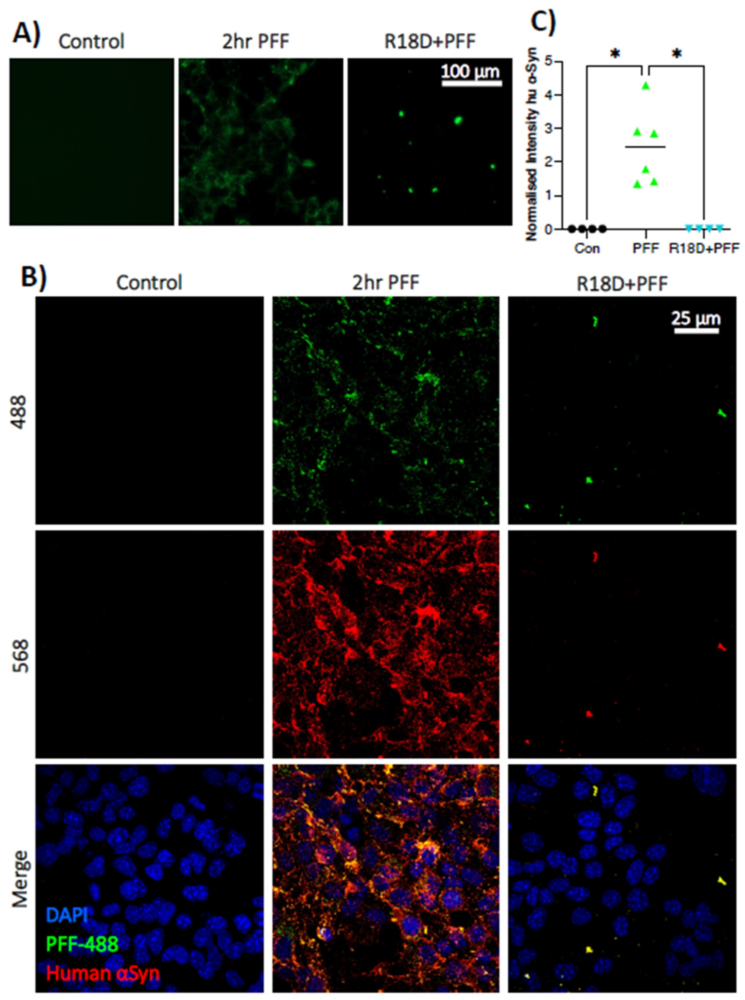 Biomedicines 11 02089 g004