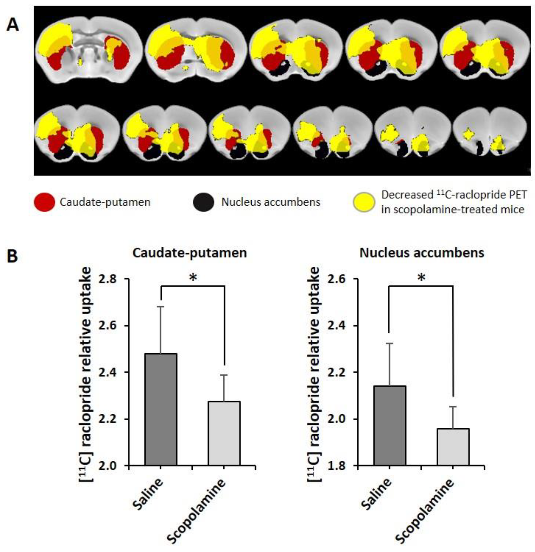 Biomedicines 11 02091 g004