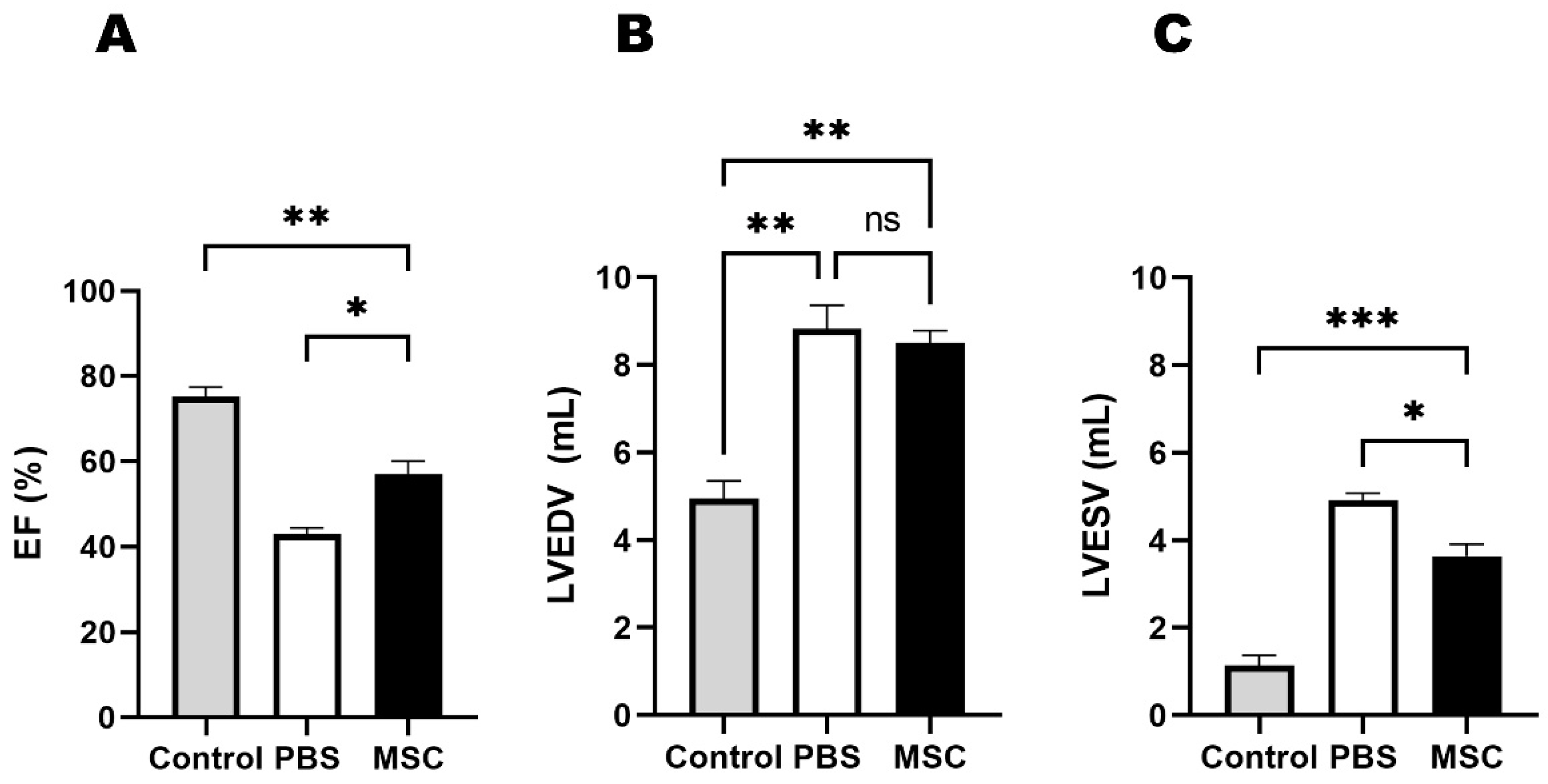Biomedicines 11 02141 g002
