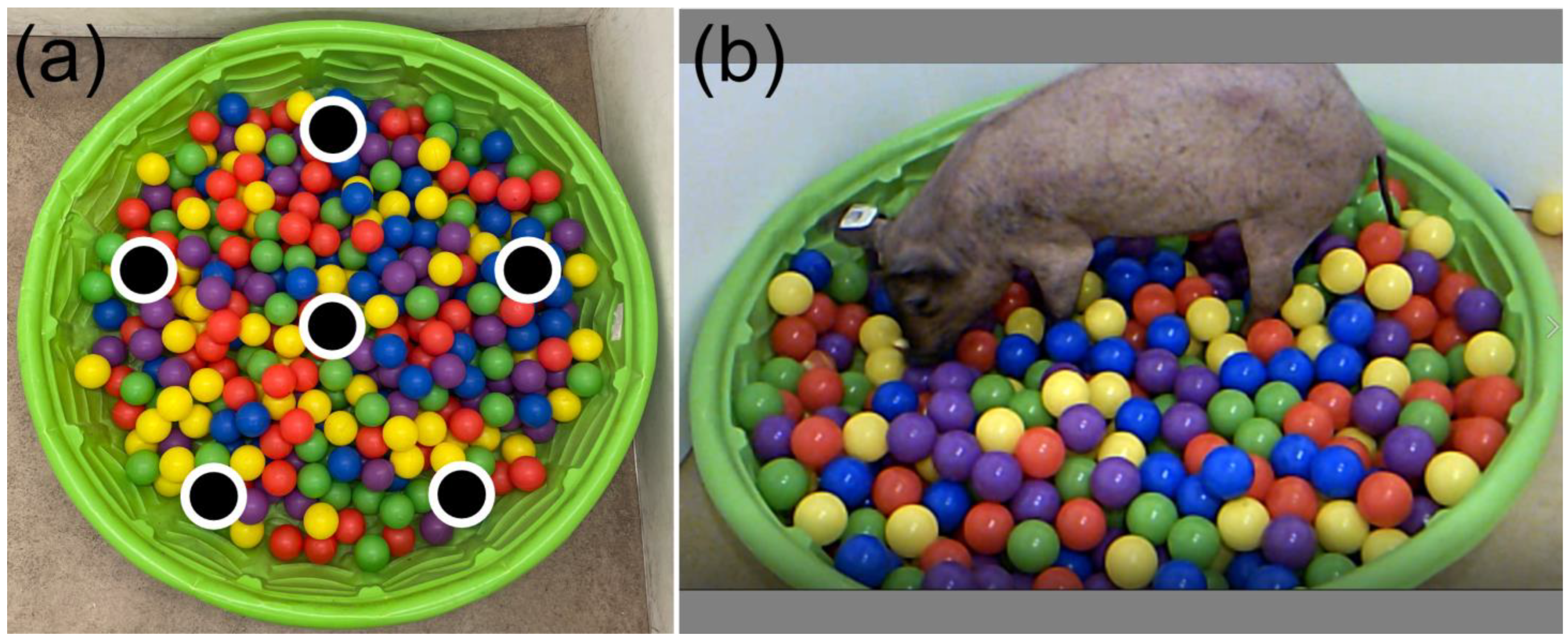 Biomedicines 11 02165 g002