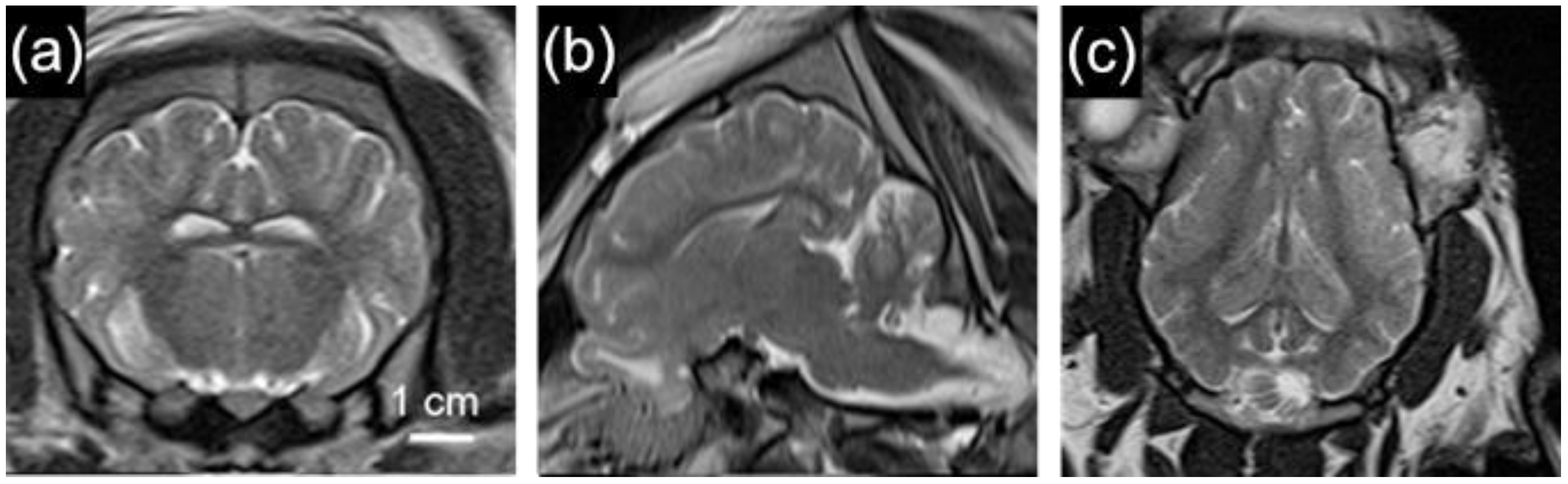 Biomedicines 11 02165 g004