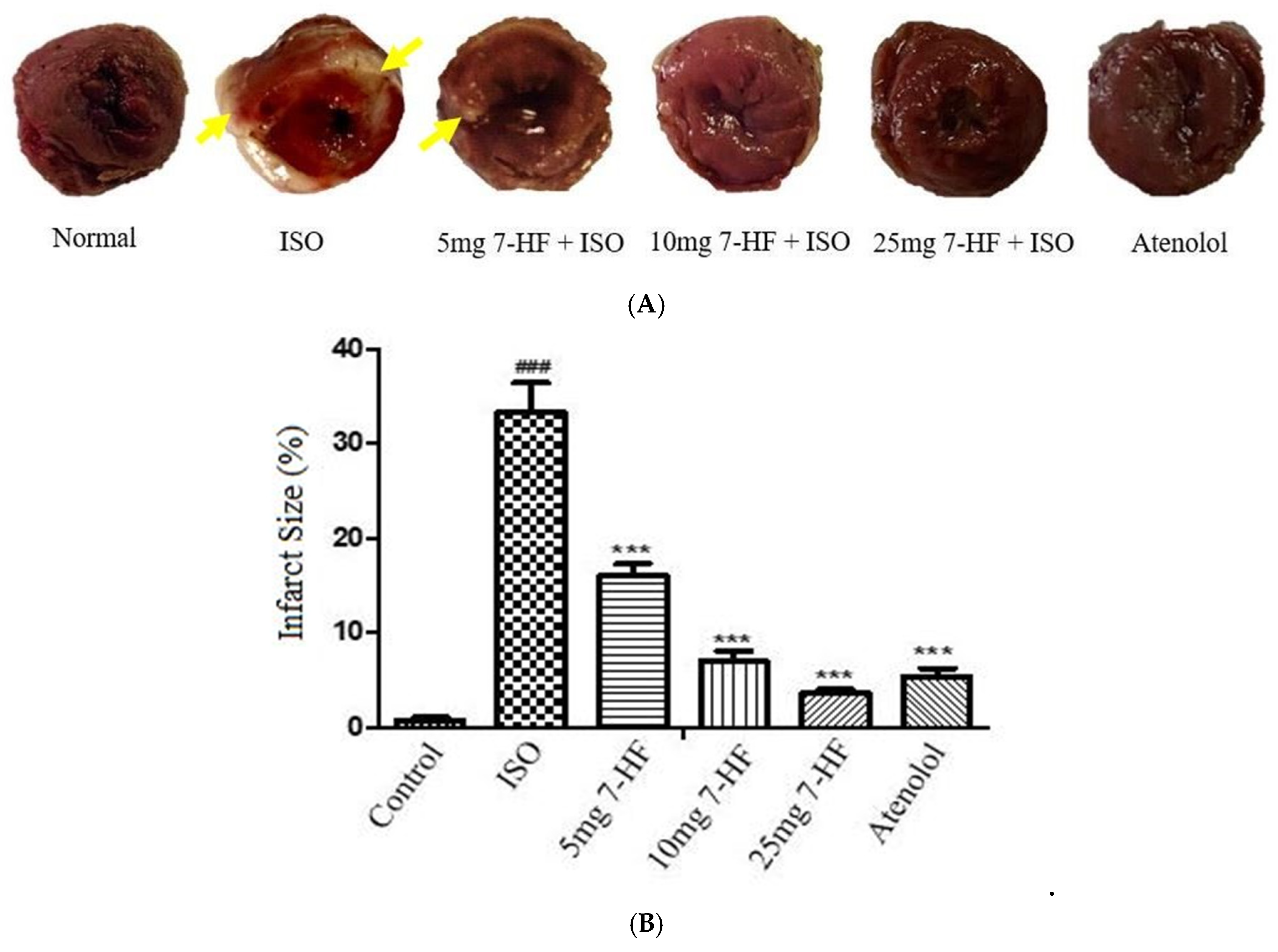 Biomedicines 11 02470 g003