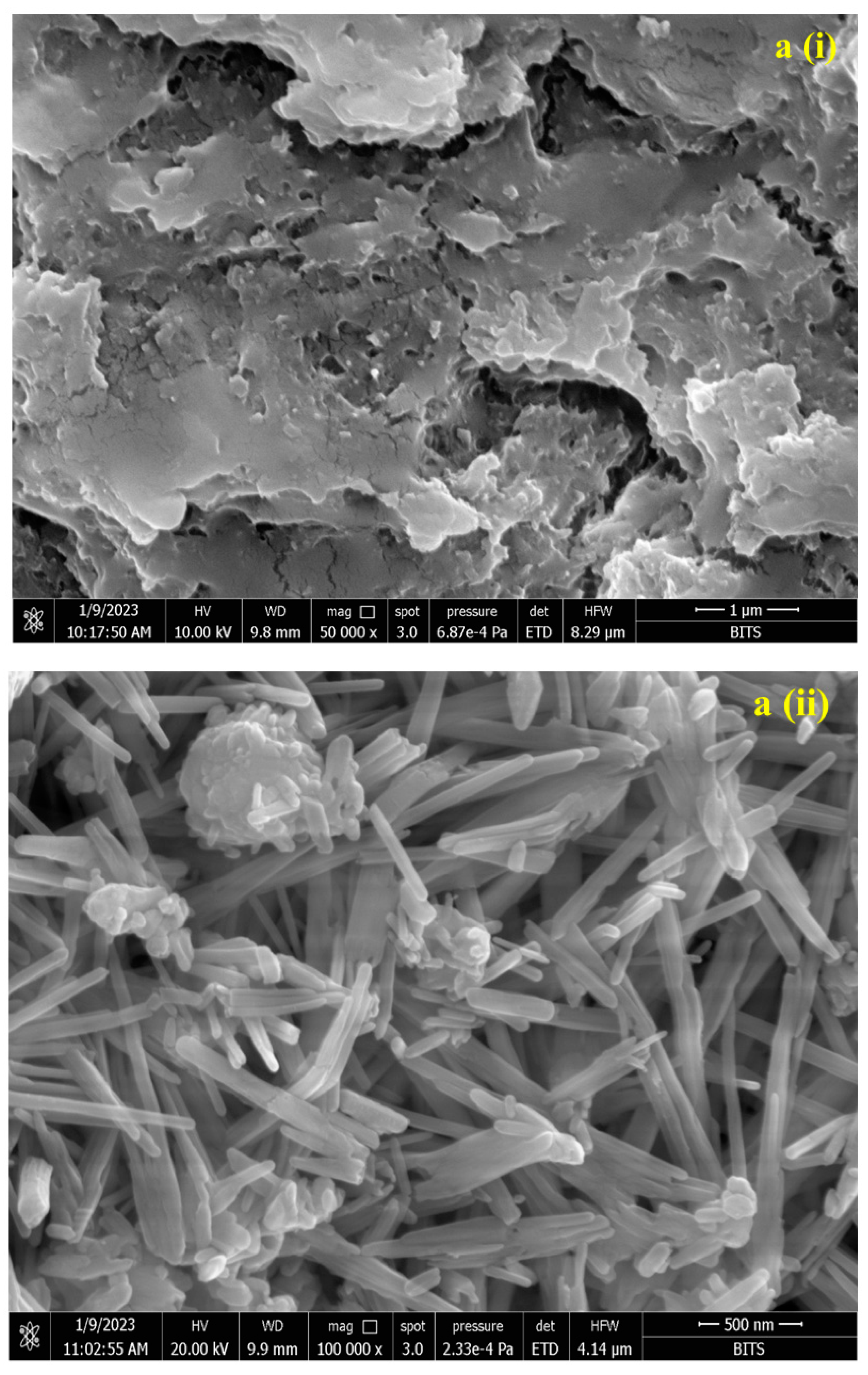 Biomedicines 11 02520 g003a