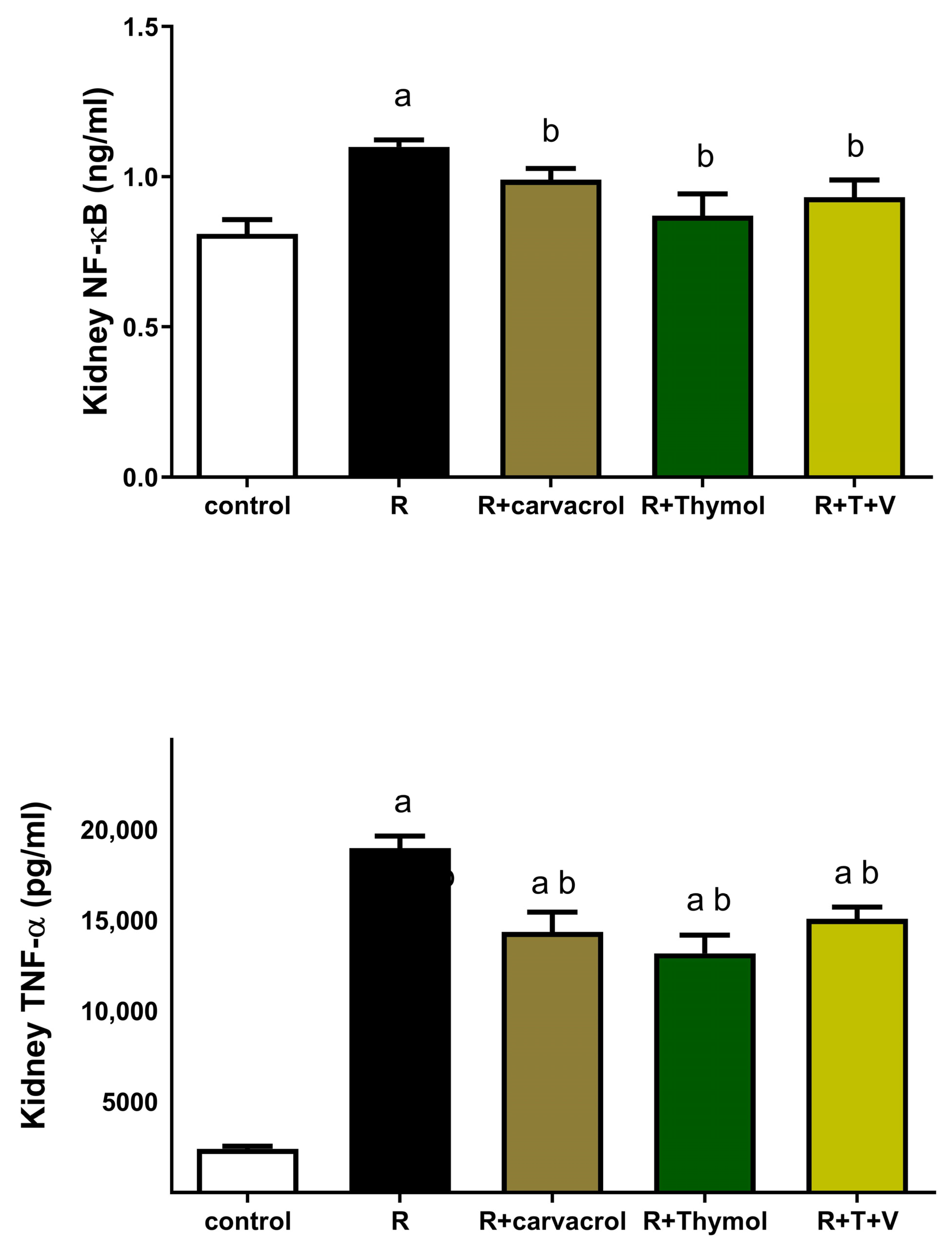 Biomedicines 11 02521 g002