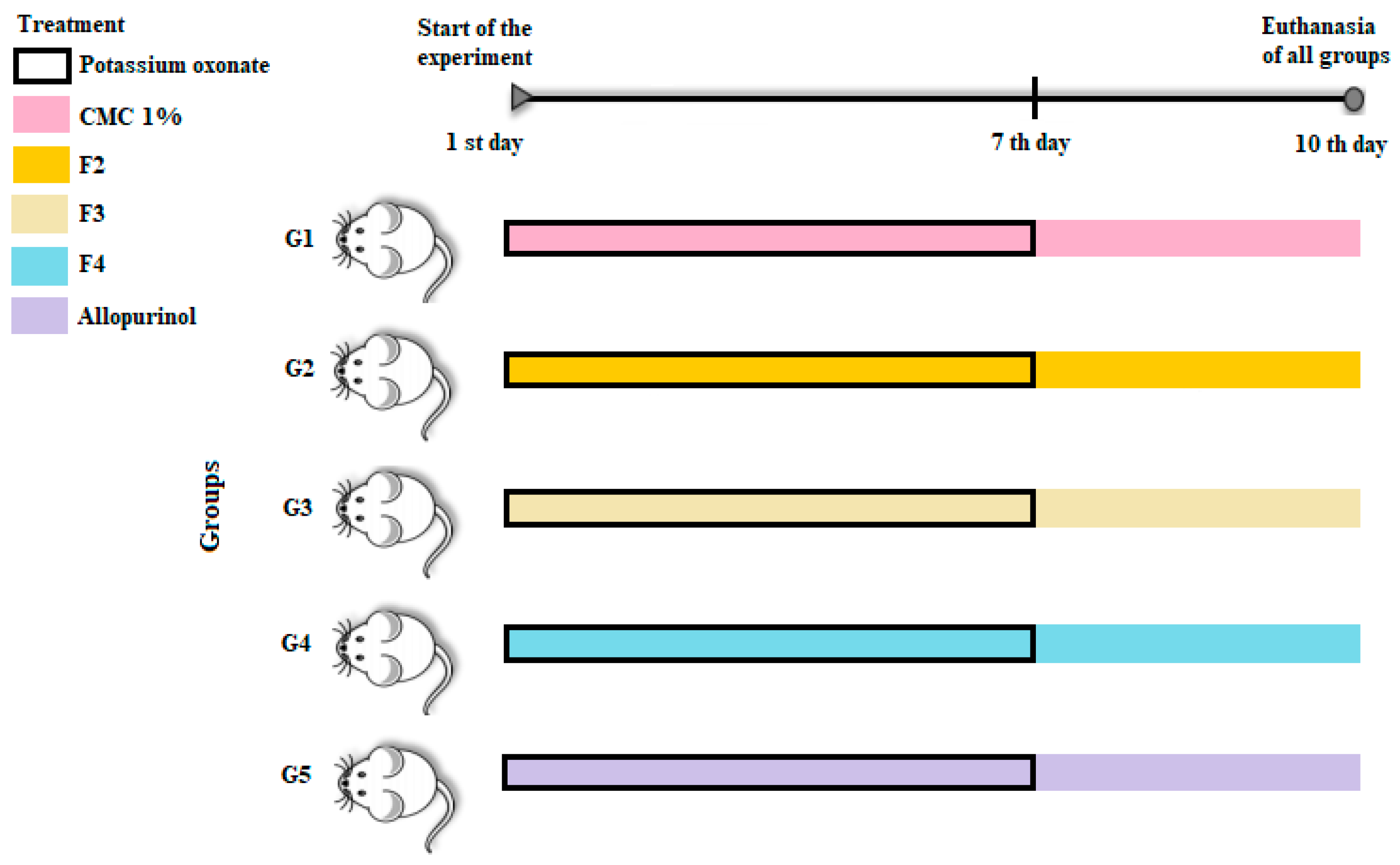 Biomedicines 11 02537 g001