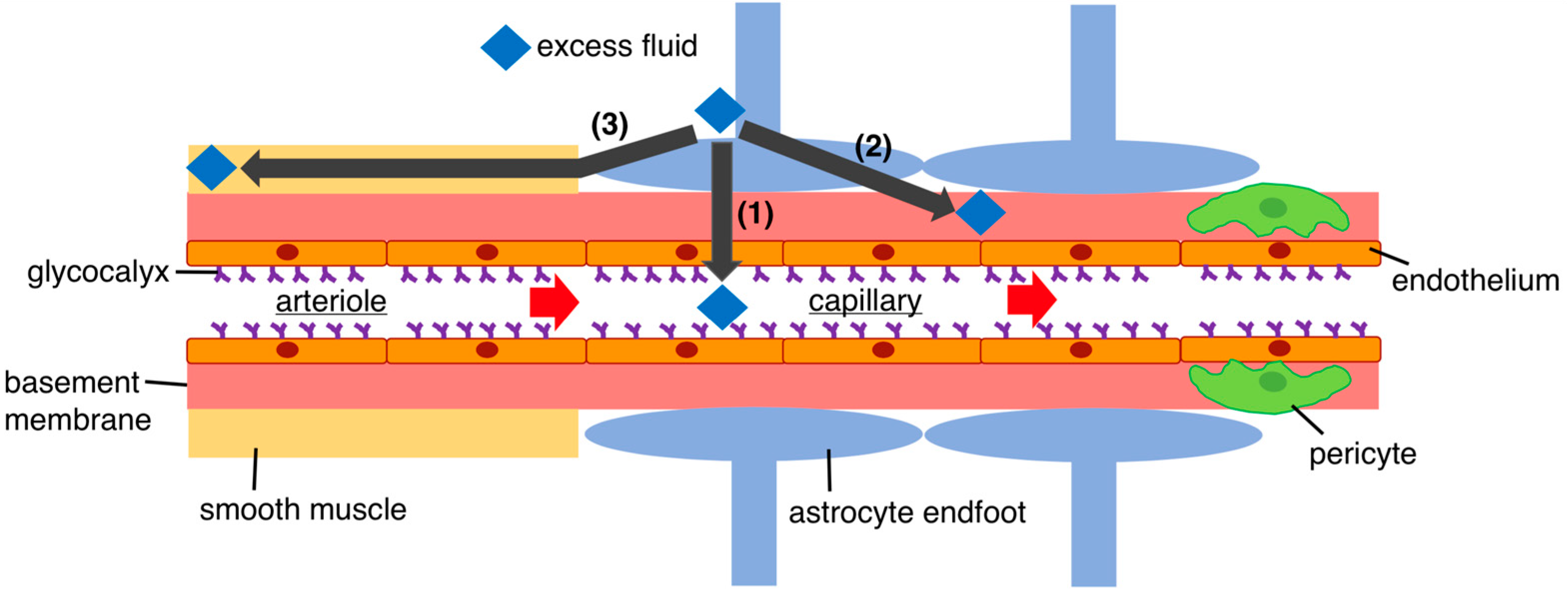 Biomedicines 11 02731 g002