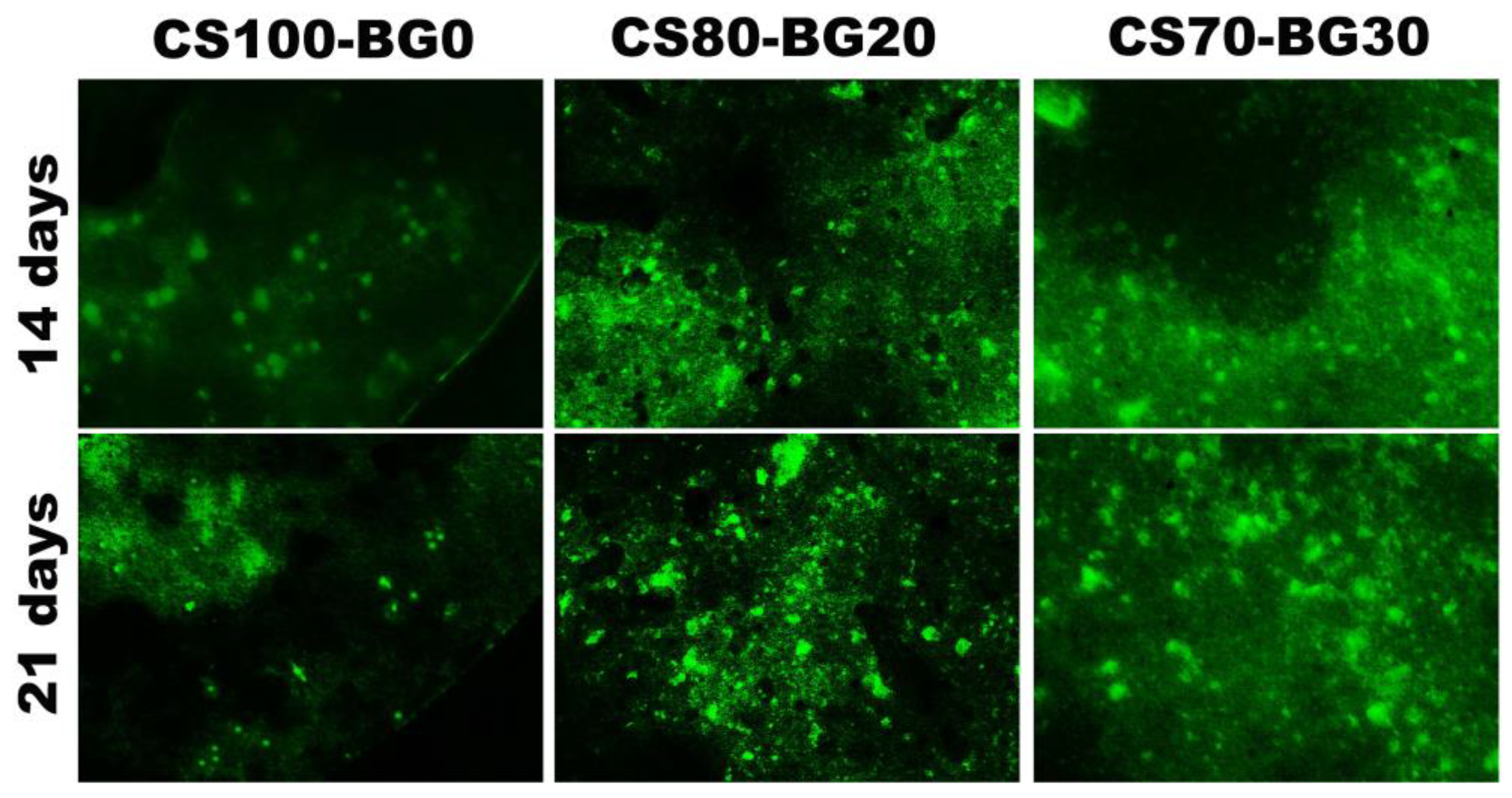 Biomedicines 11 02833 g009