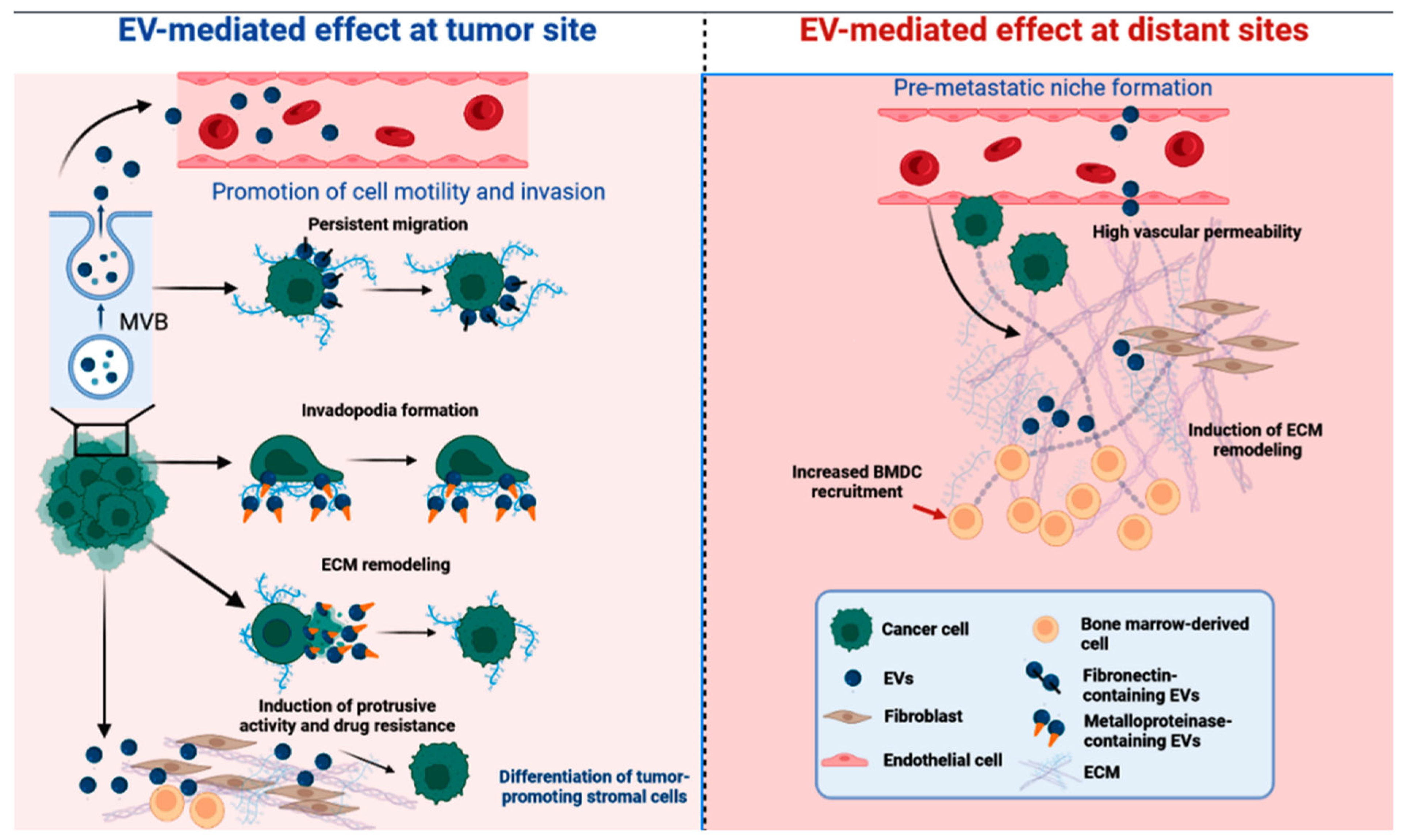 Biomedicines 11 02839 g001