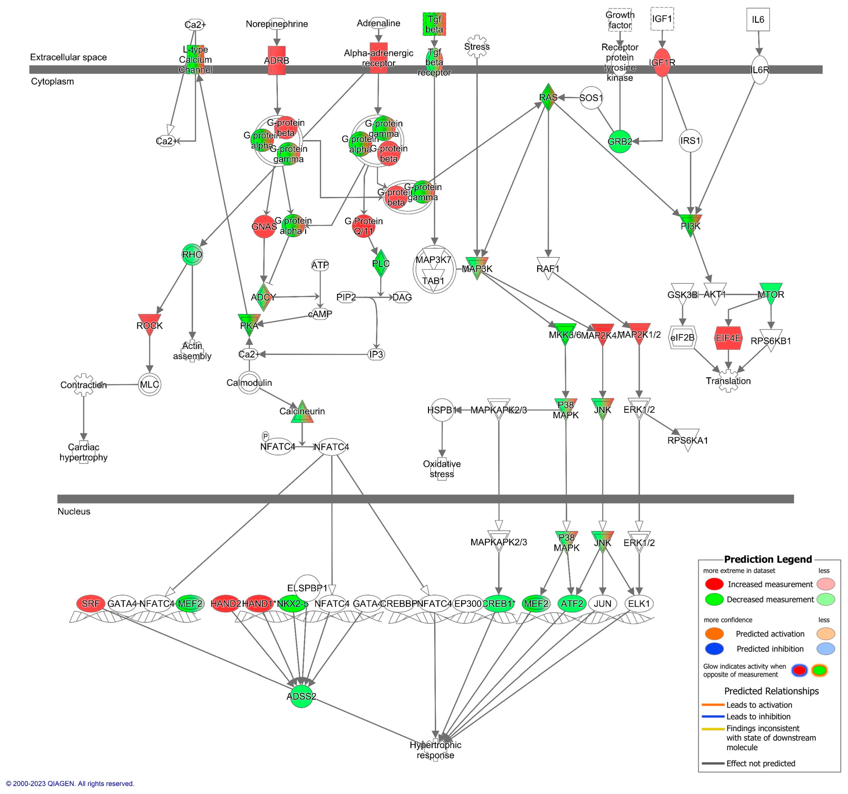 Biomedicines 11 02920 g003