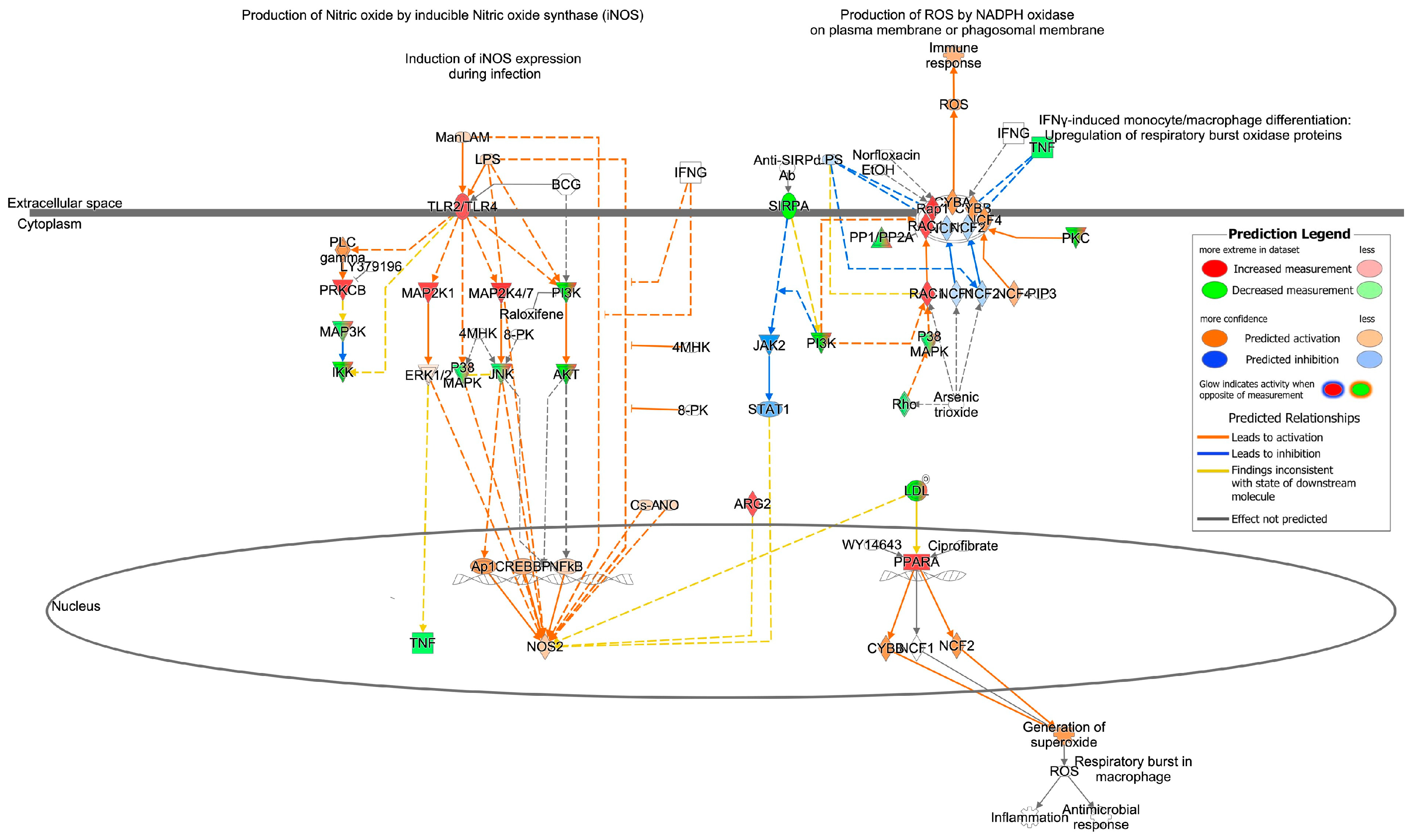 Biomedicines 11 02920 g004