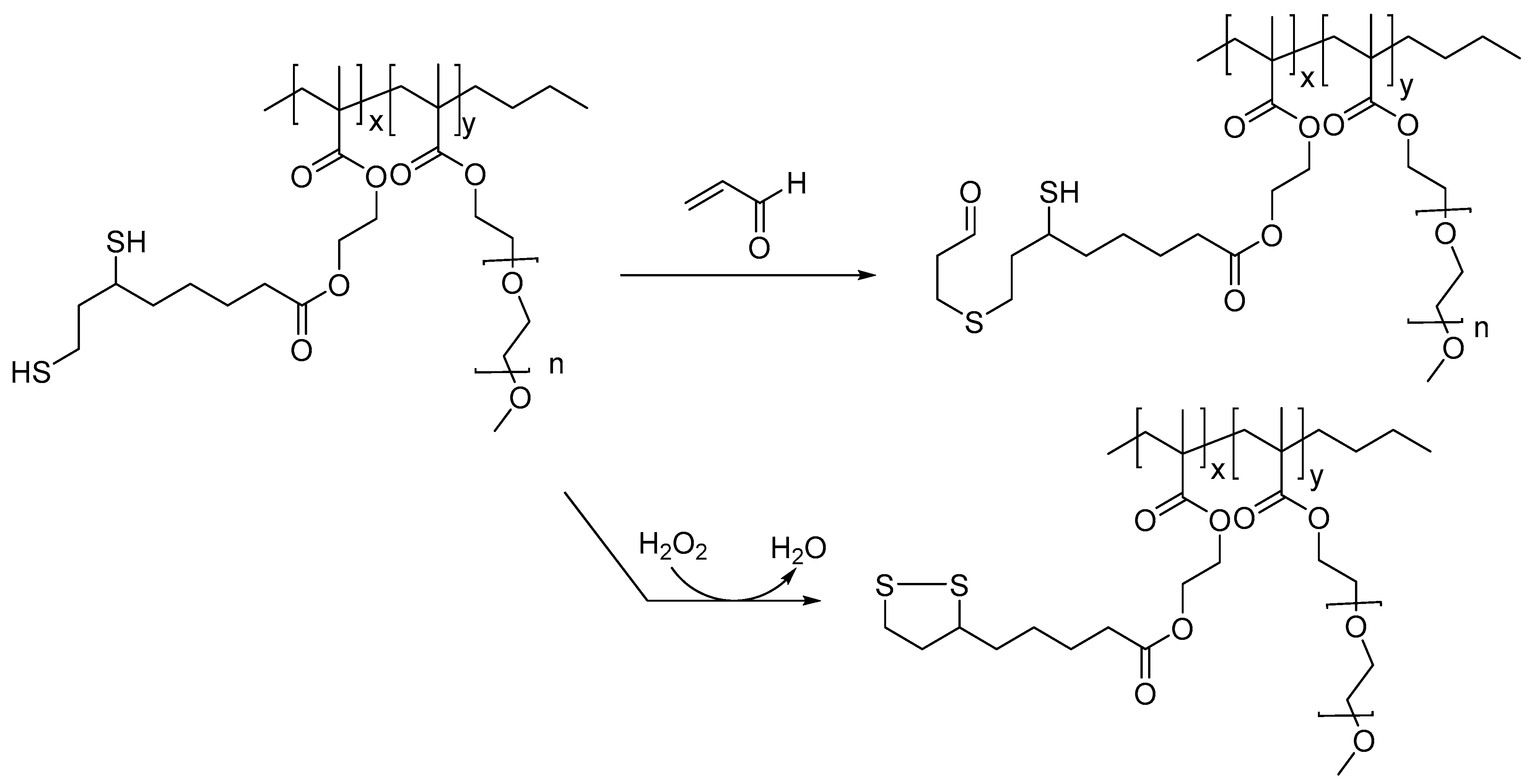 Biomedicines 11 02925 g002