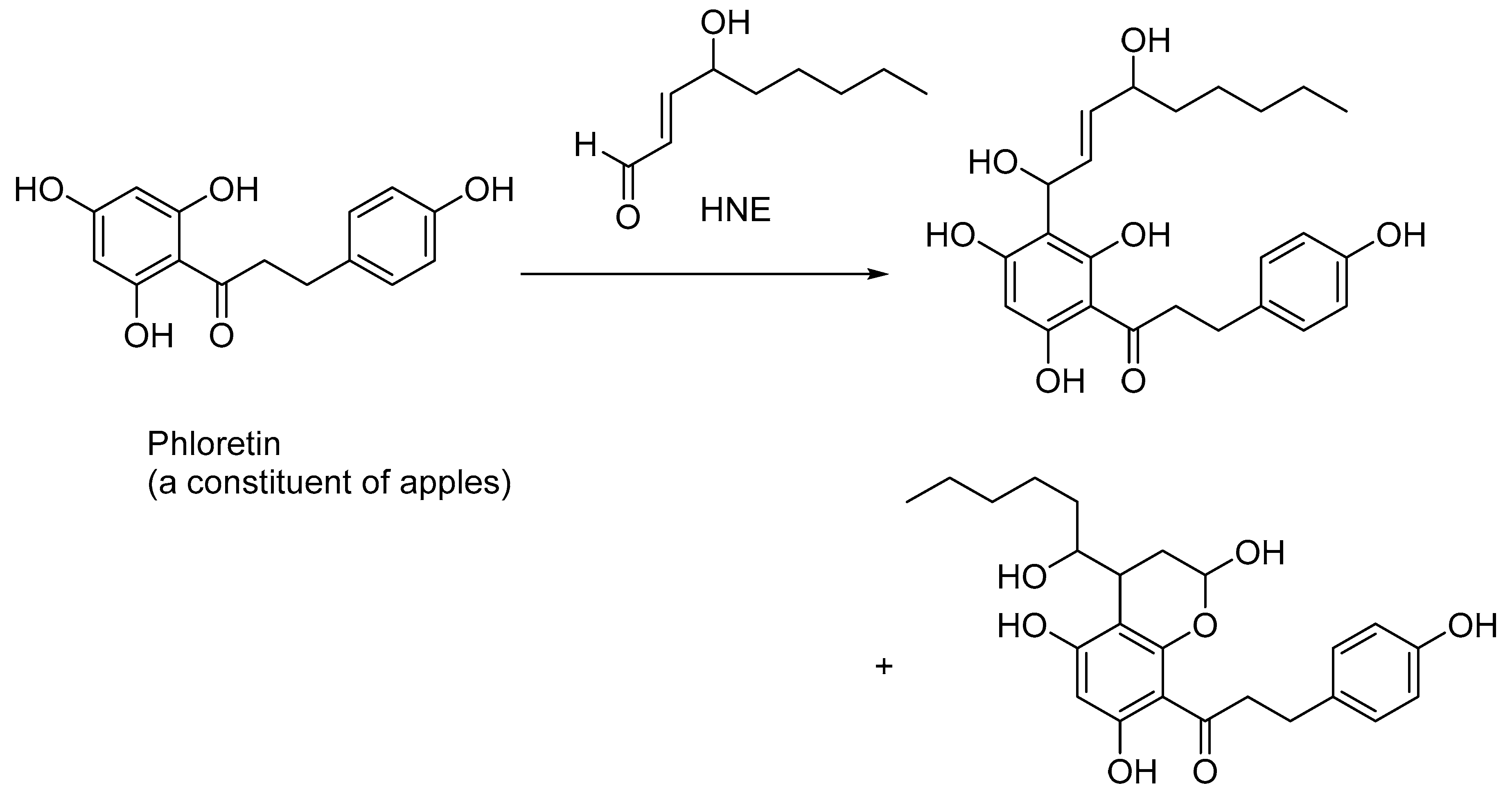 Biomedicines 11 02925 g005