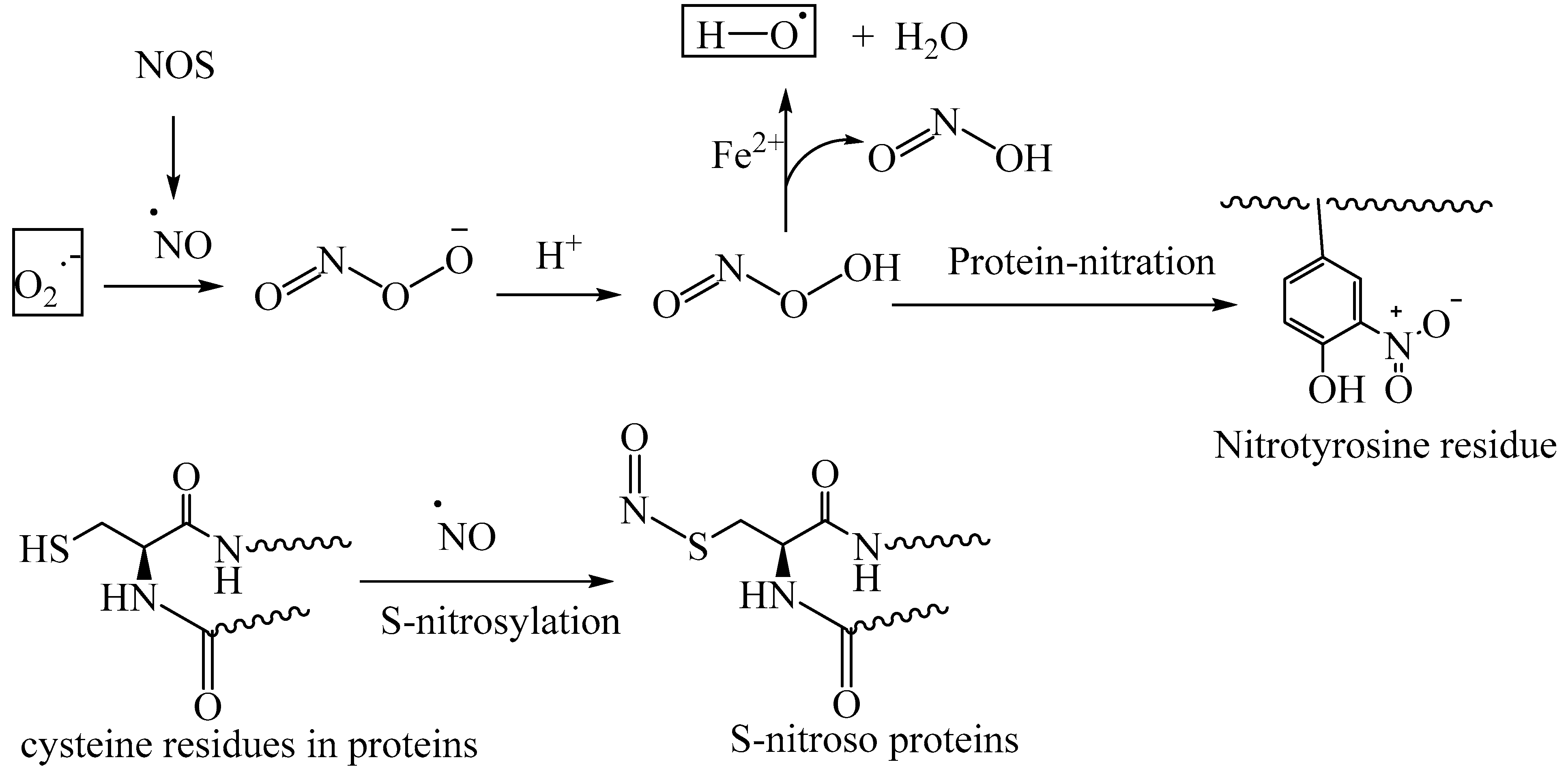 Biomedicines 11 02925 g008
