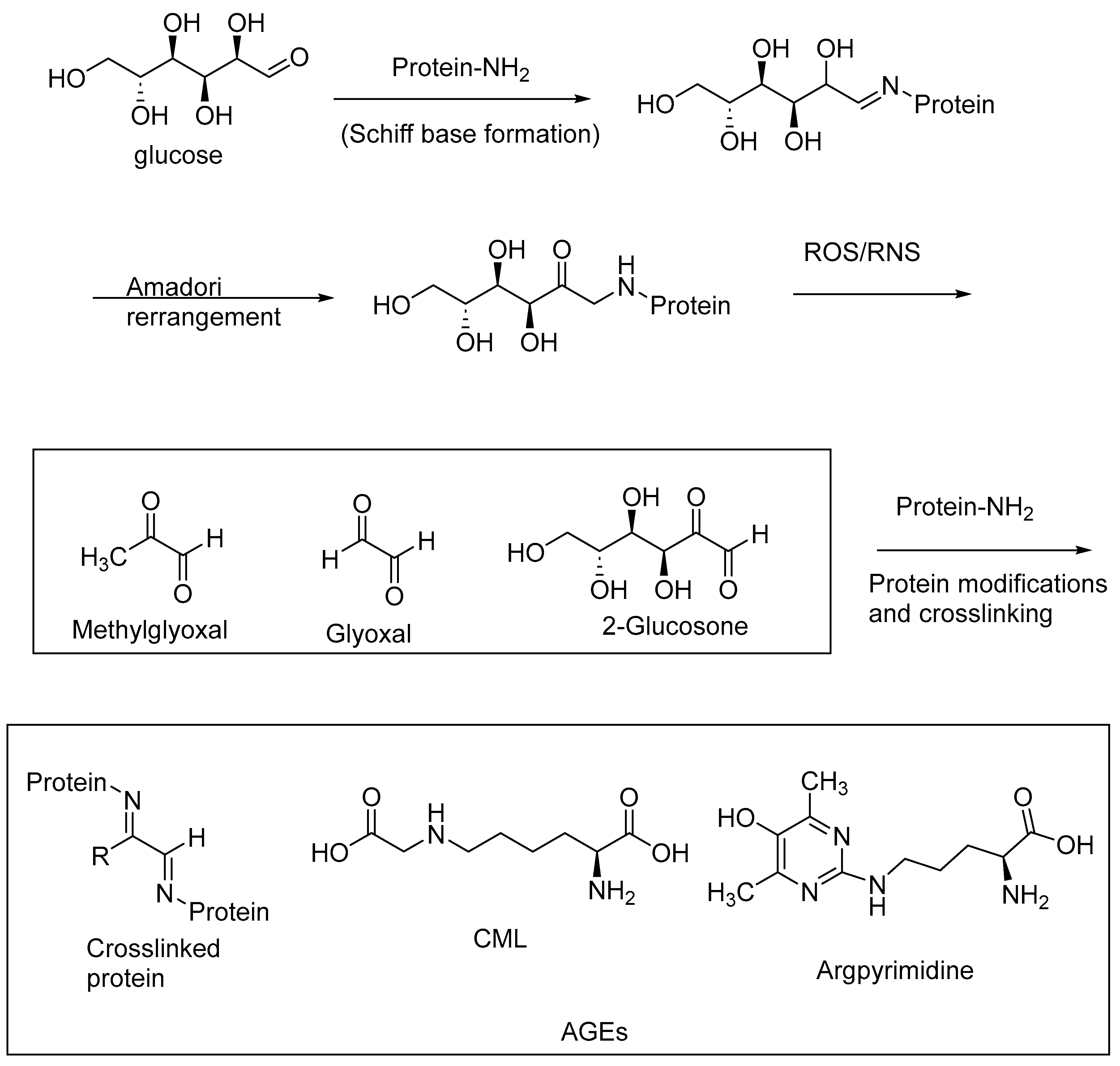 Biomedicines 11 02925 g009