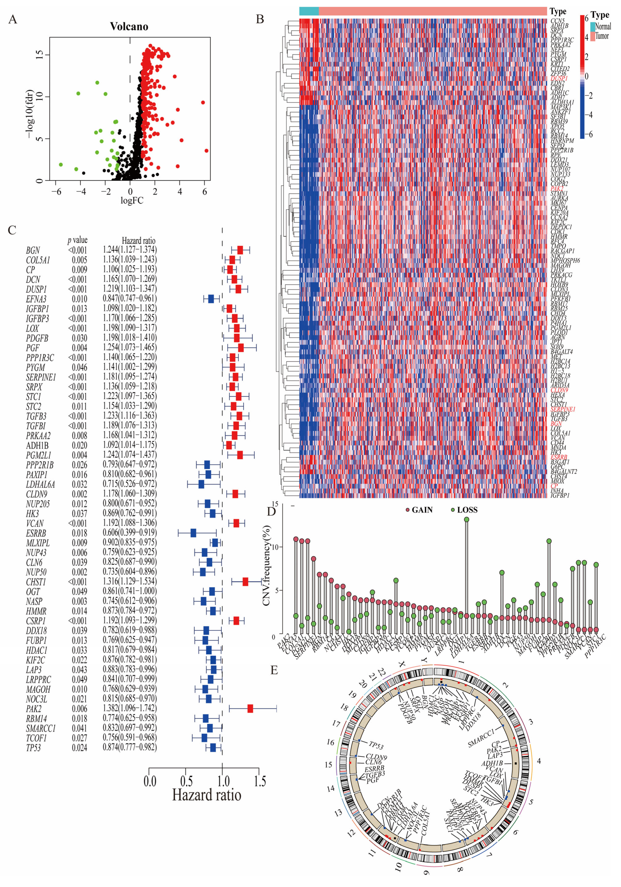 Biomedicines 11 02948 g002