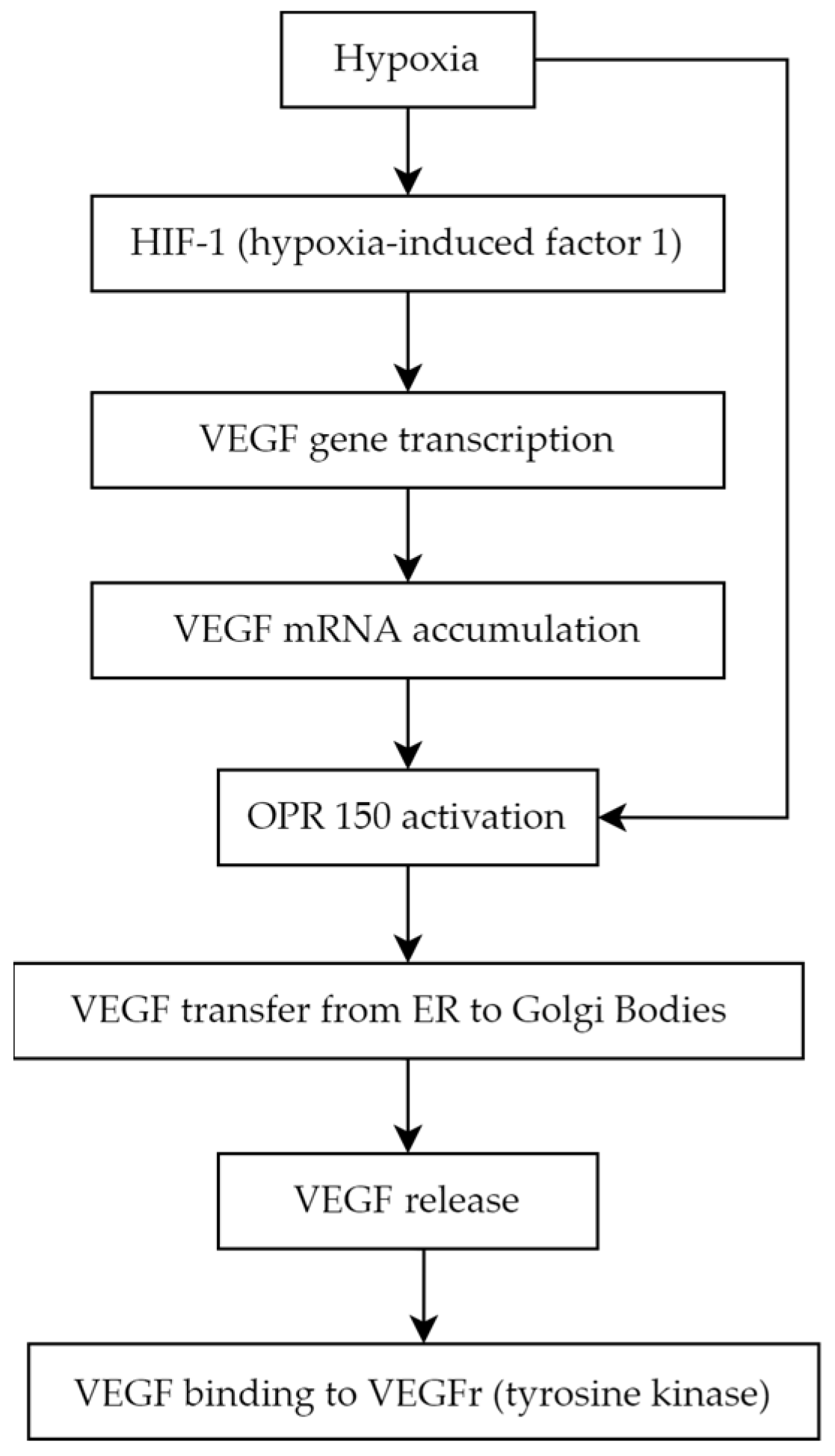 Biomedicines 11 02951 g002
