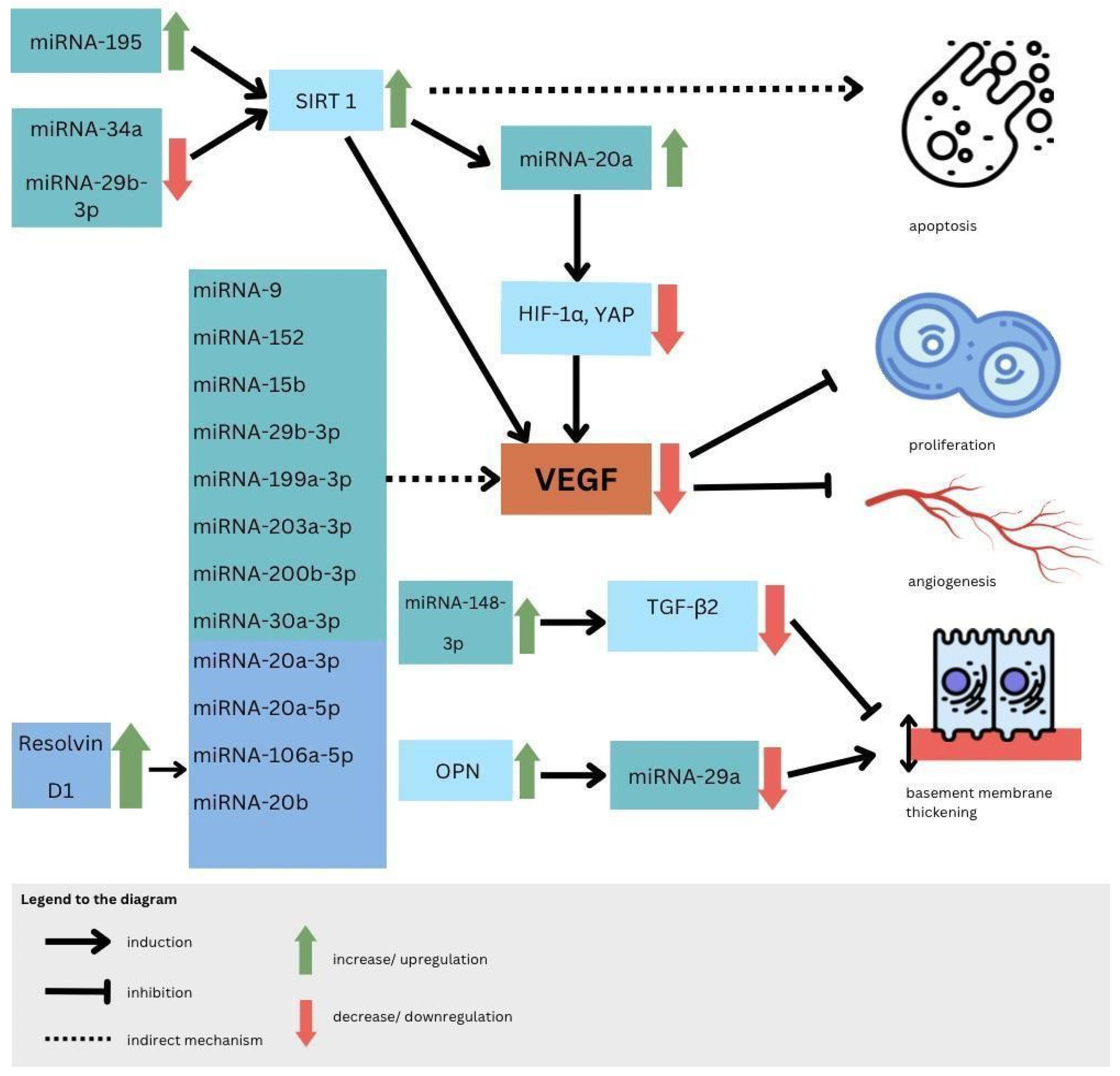 Biomedicines 11 02951 g003