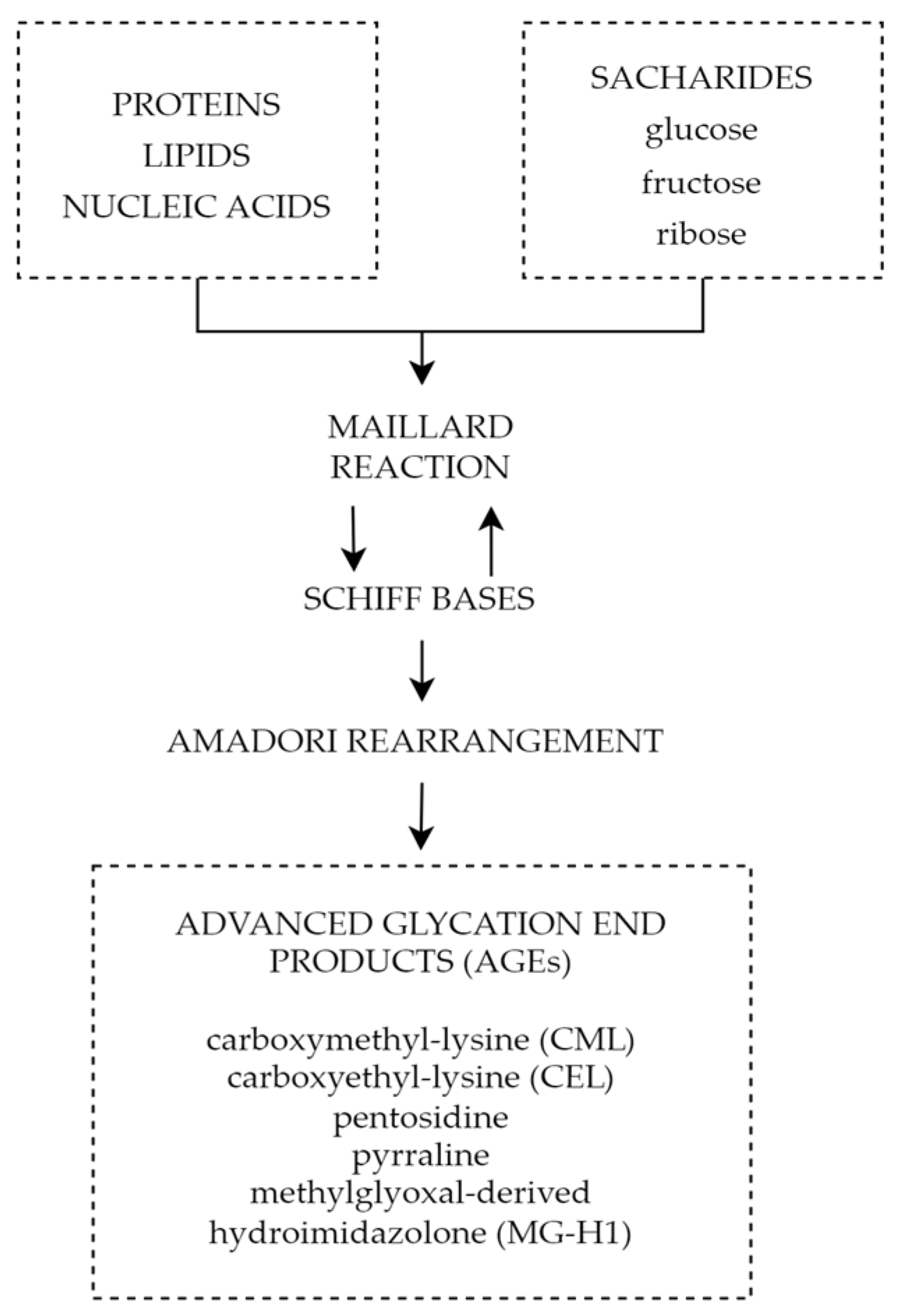 Biomedicines 11 02951 g005