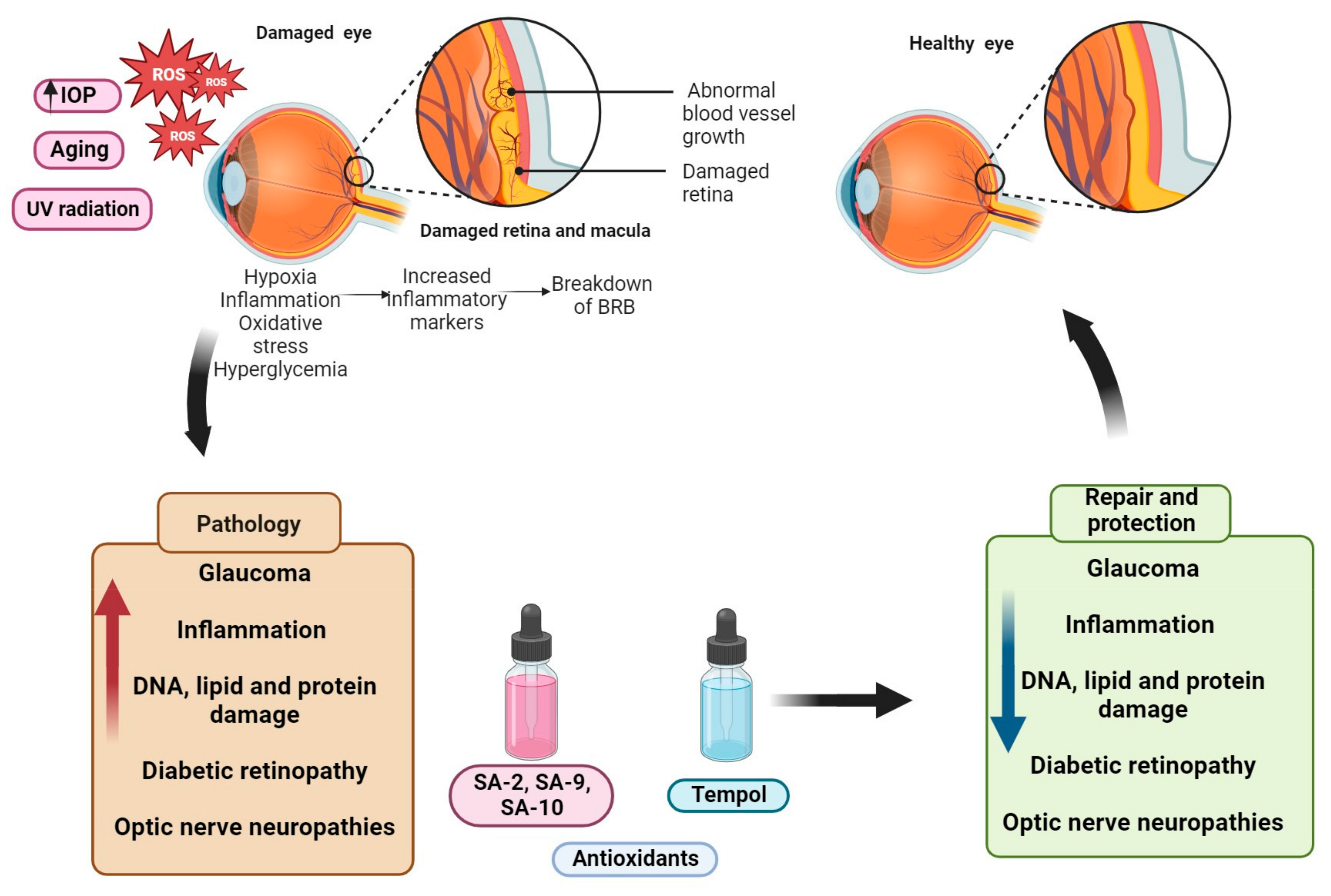 Biomedicines 11 02959 g001