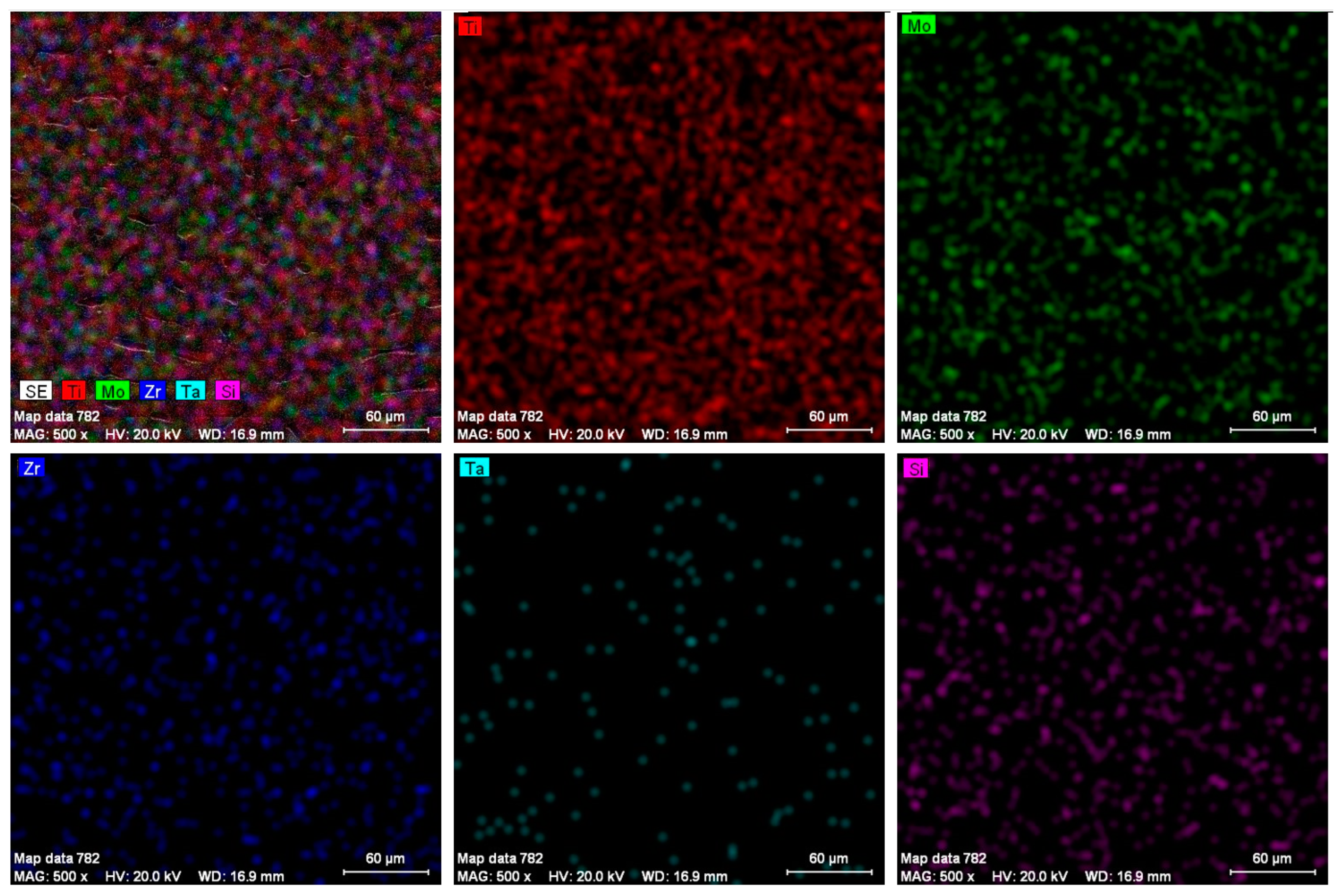 Biomedicines 11 02997 g002