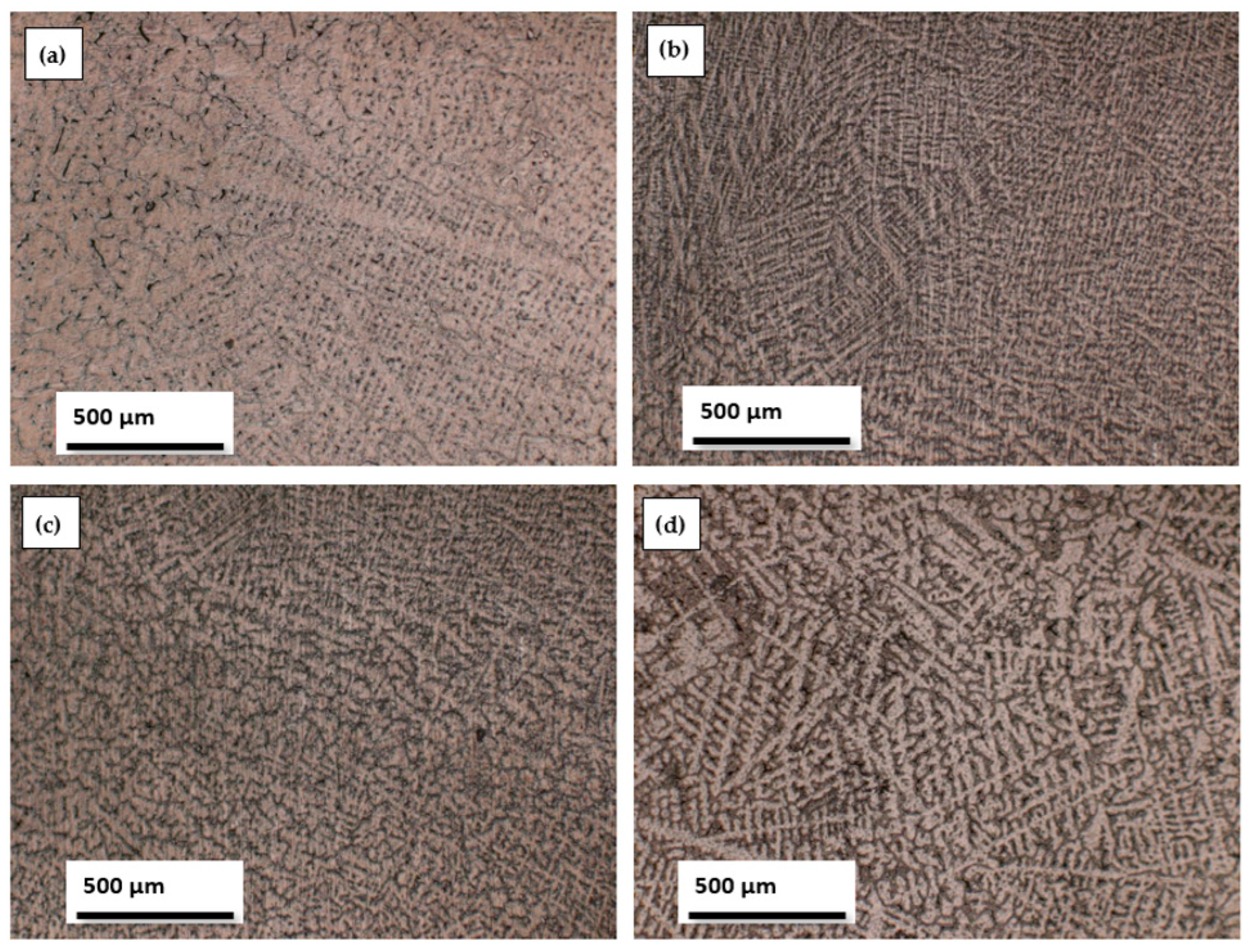 Biomedicines 11 02997 g003