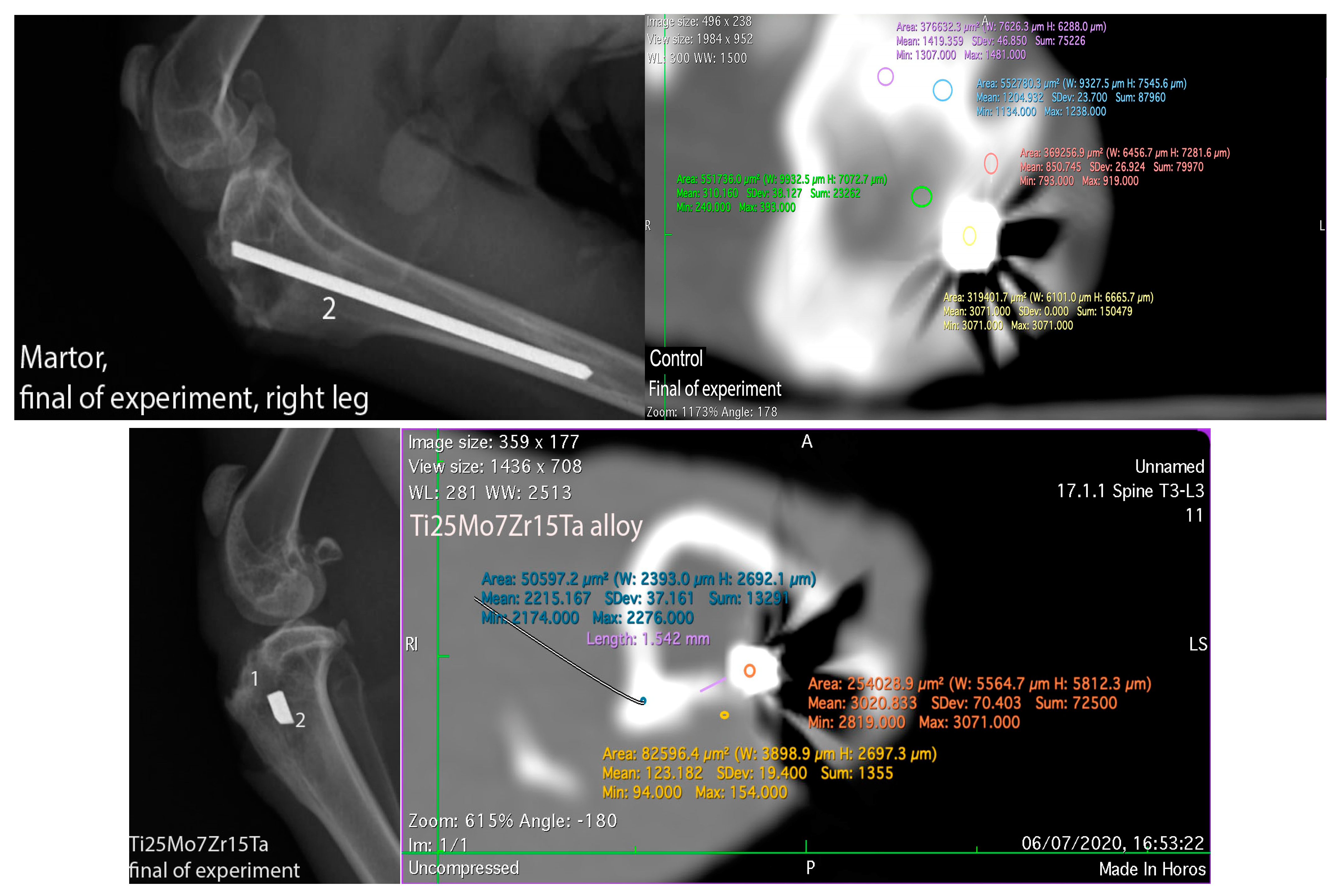 Biomedicines 11 02997 g006a