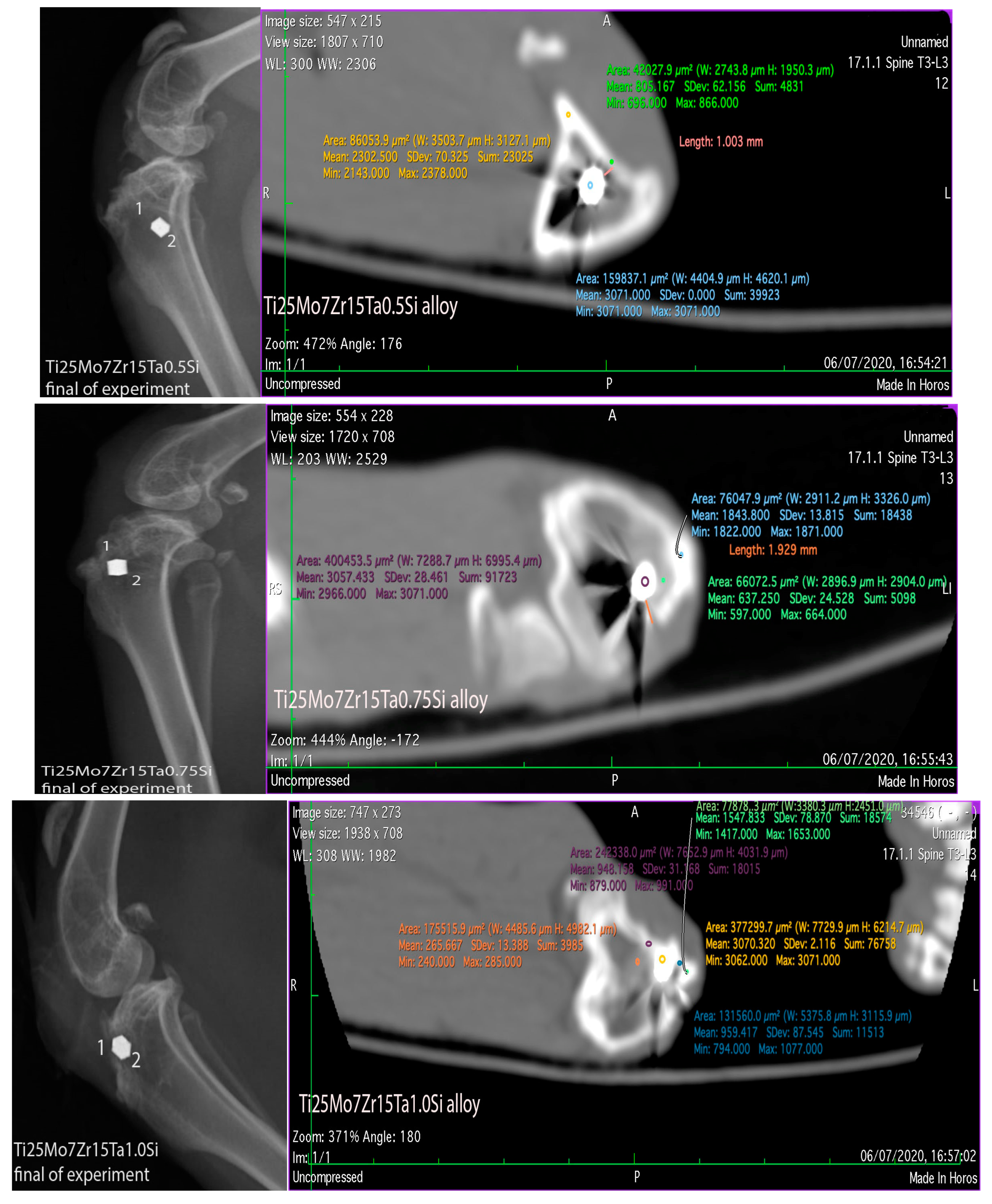 Biomedicines 11 02997 g006b