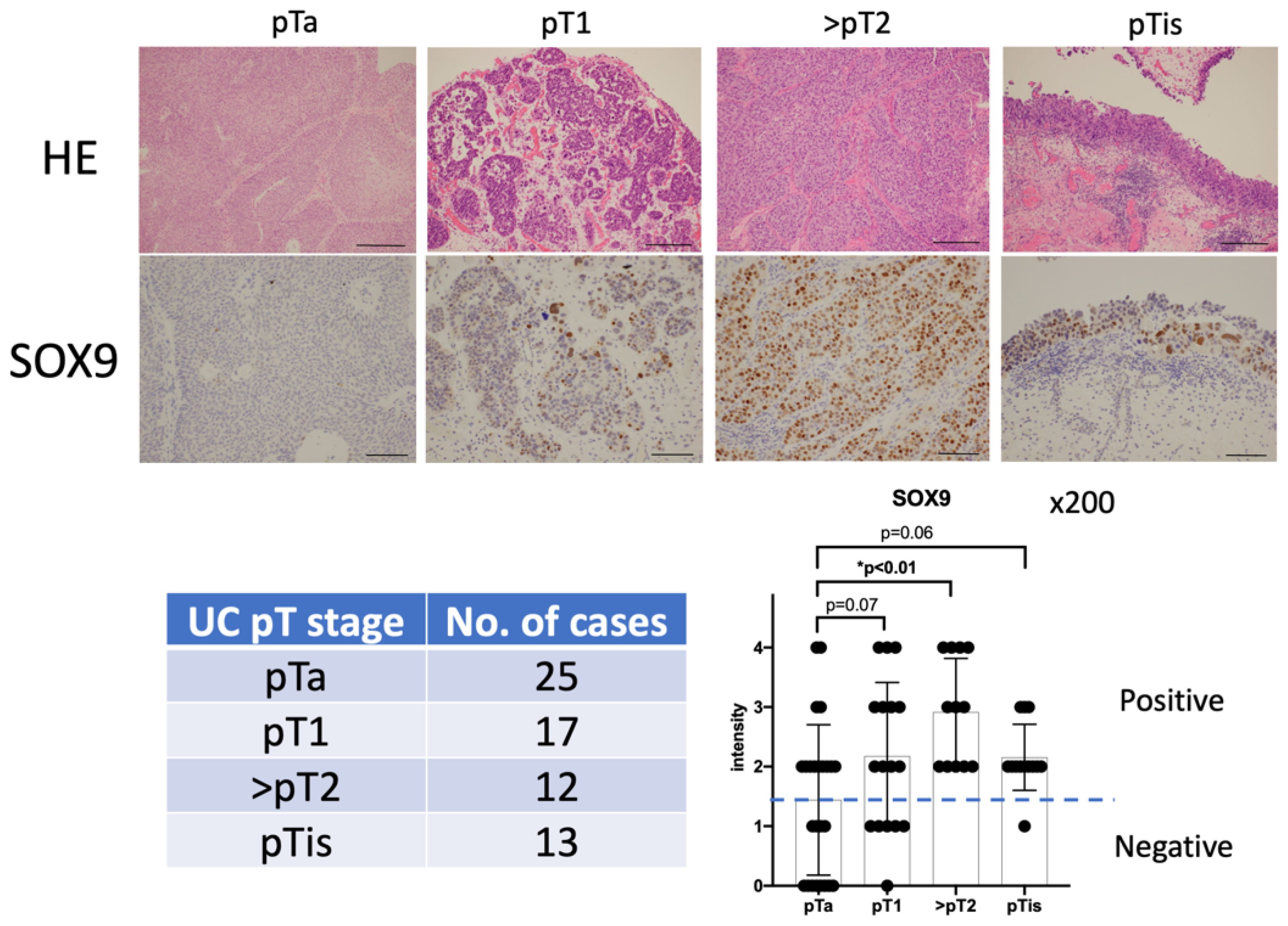 Biomedicines 11 03064 g001