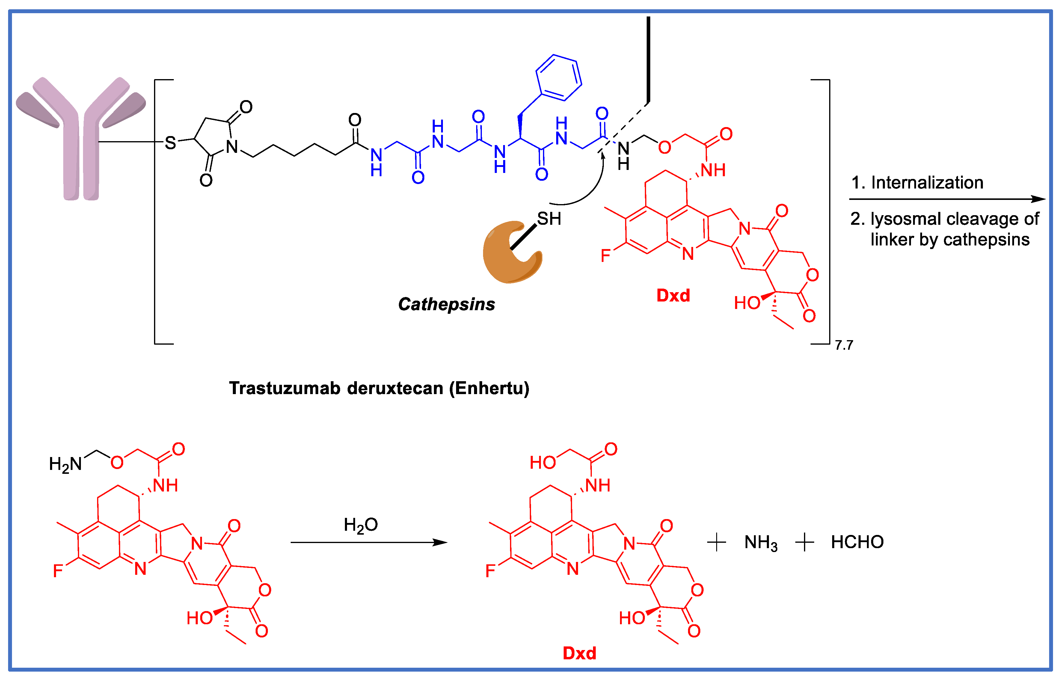 Biomedicines 11 03080 g004