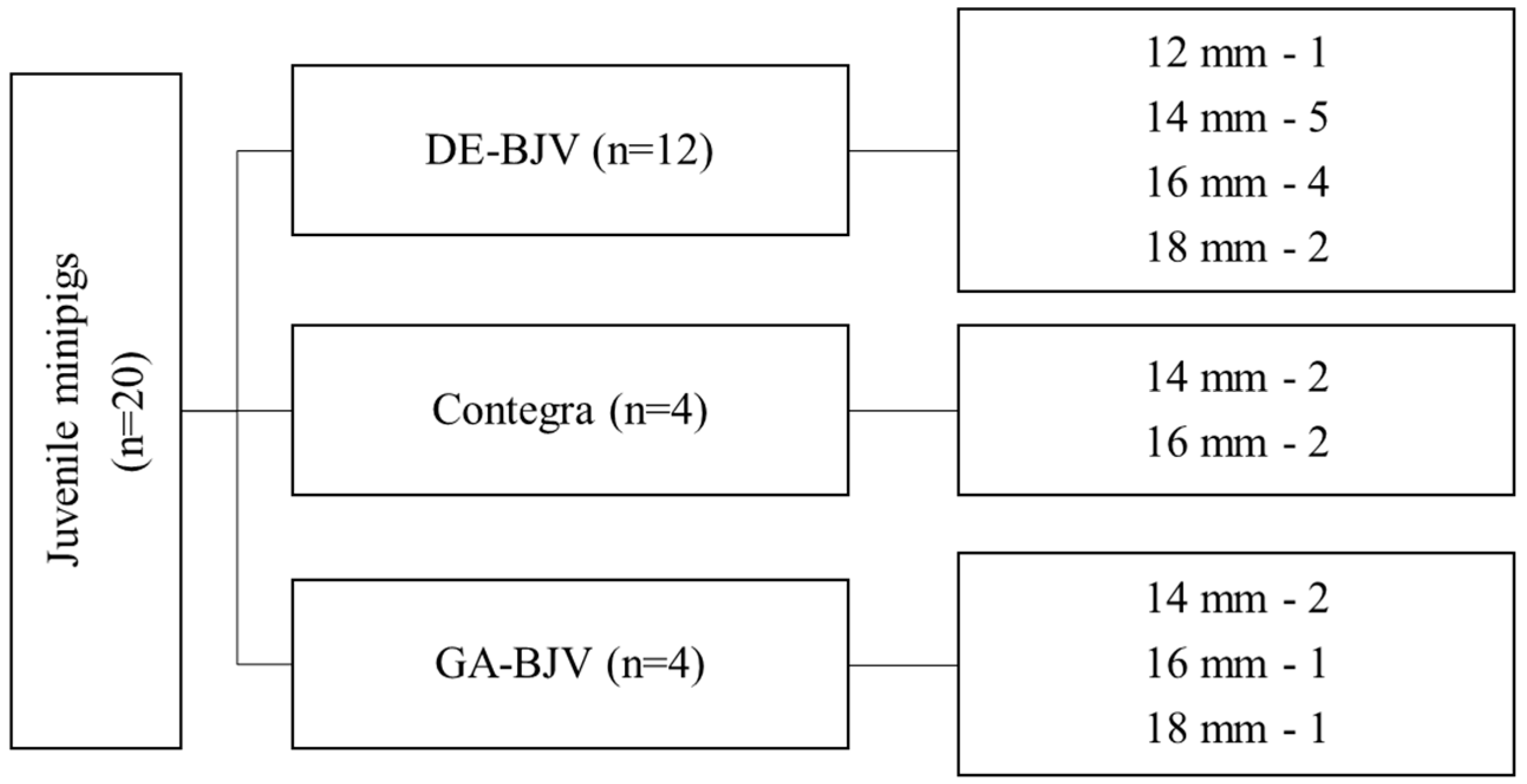 Biomedicines 11 03101 g001
