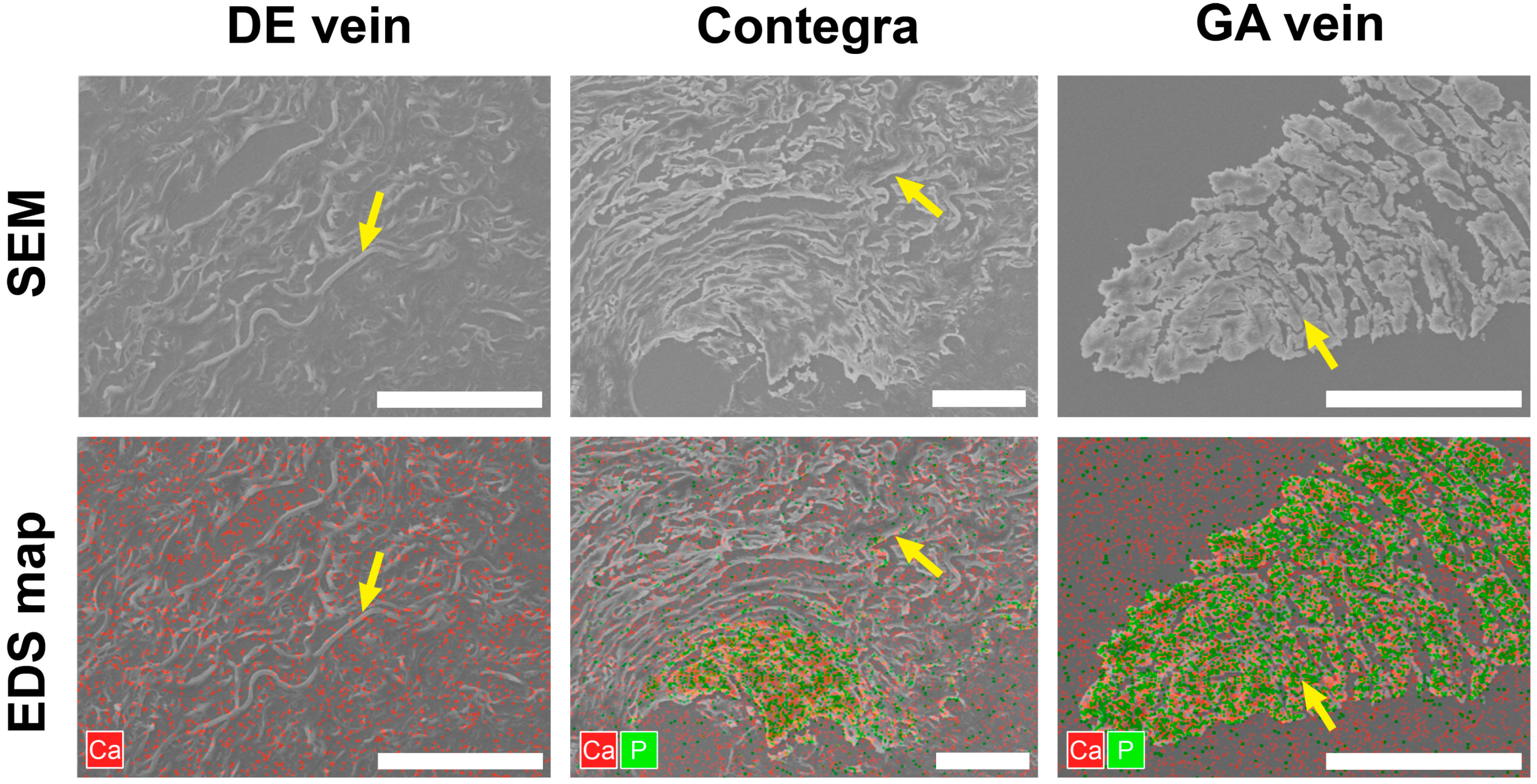 Biomedicines 11 03101 g007