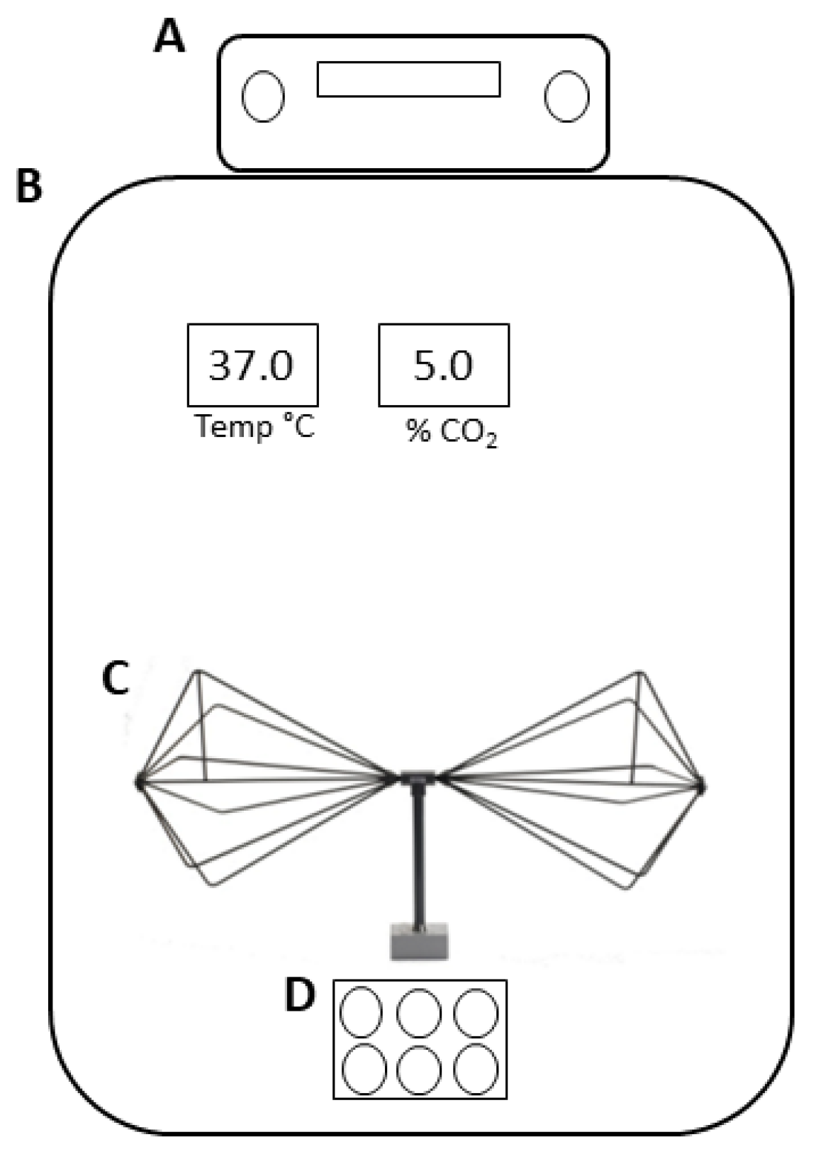 Biomedicines 11 03129 g001