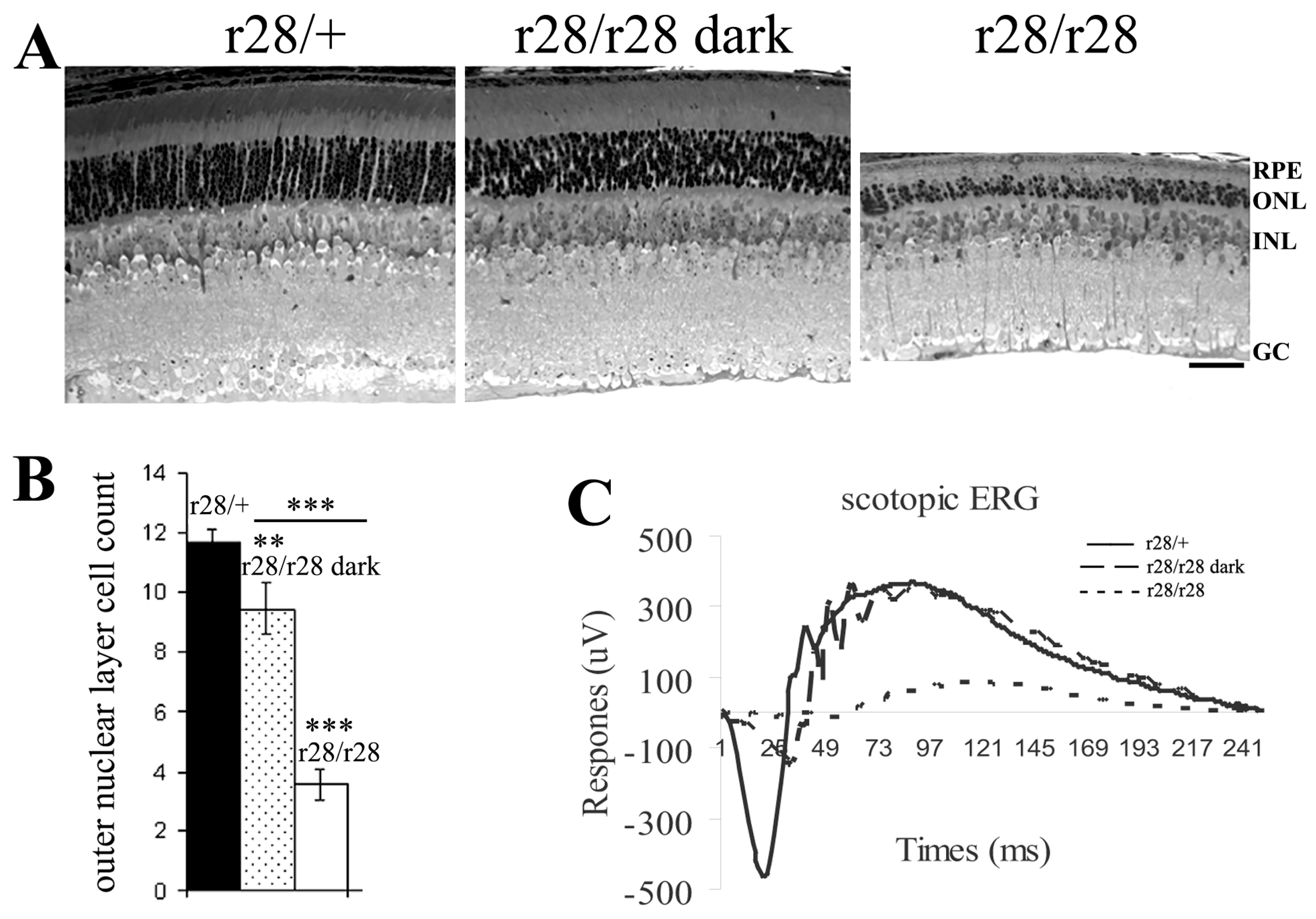 Biomedicines 11 03173 g002