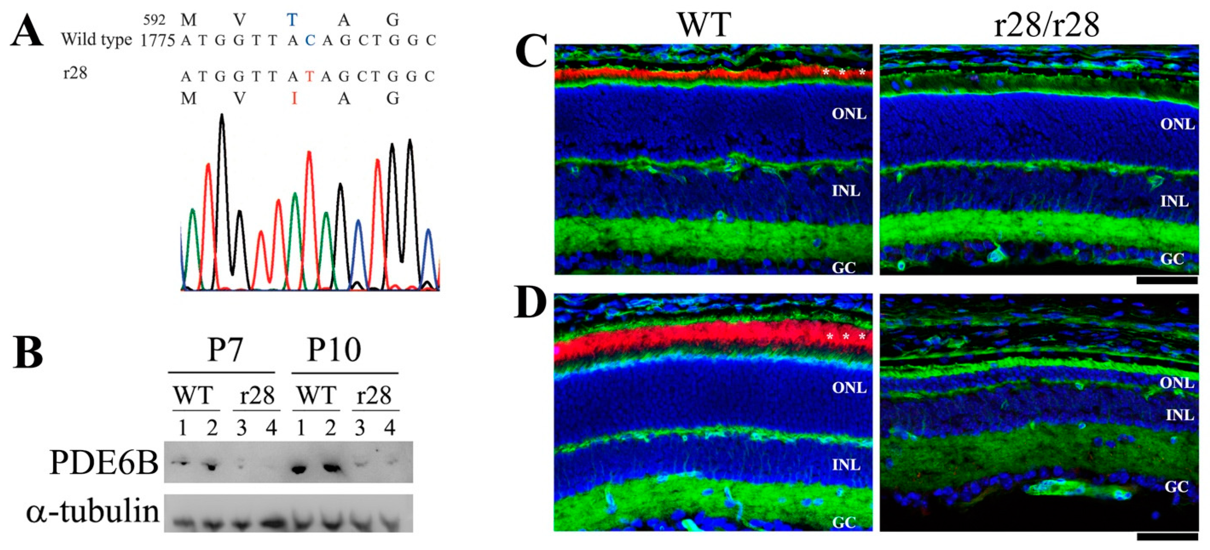 Biomedicines 11 03173 g003