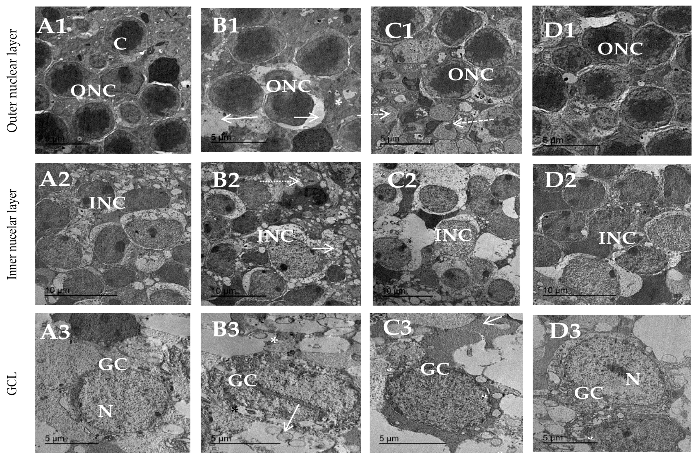 Biomedicines 11 03202 g009