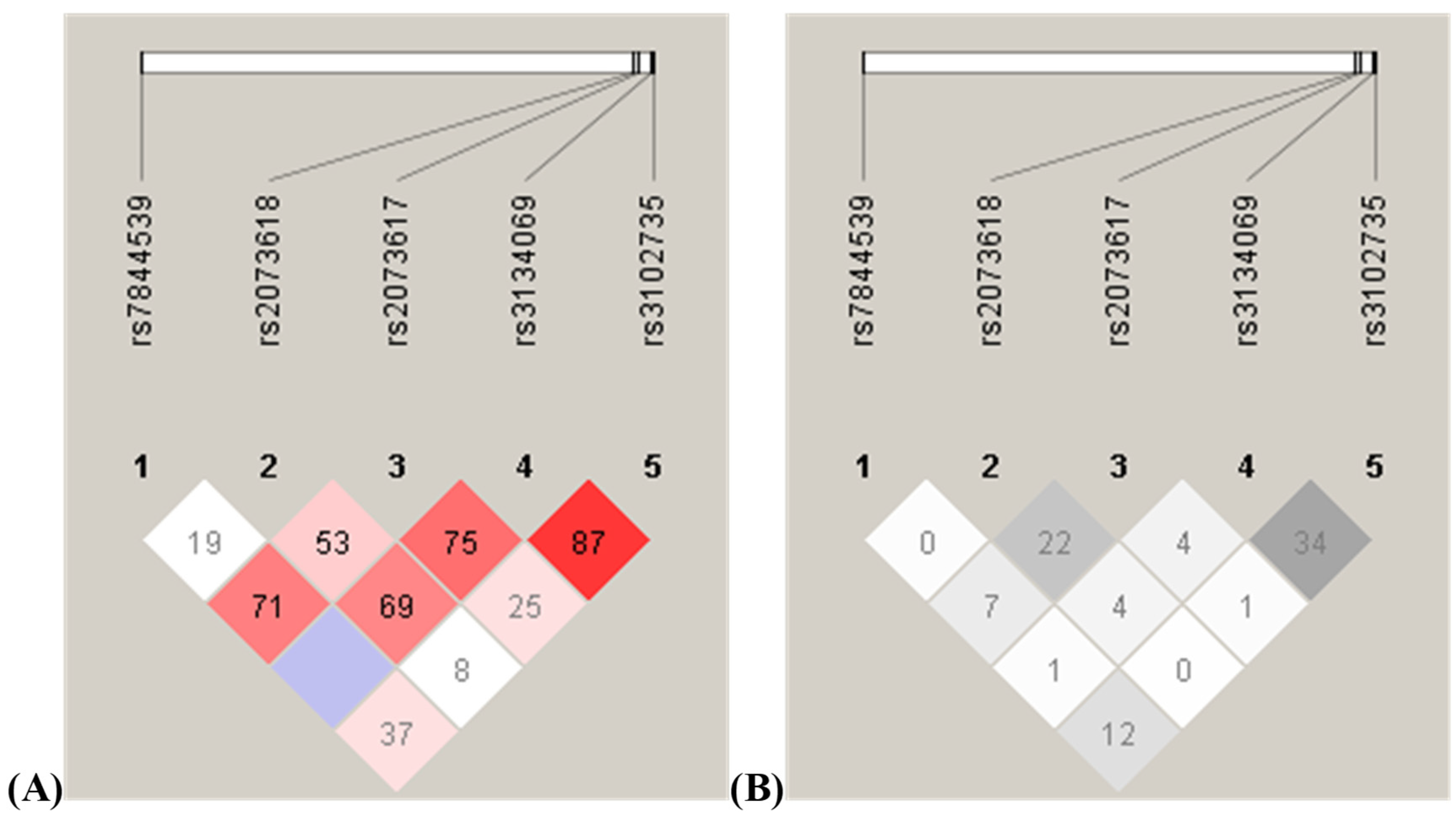 Biomedicines 11 03218 g002