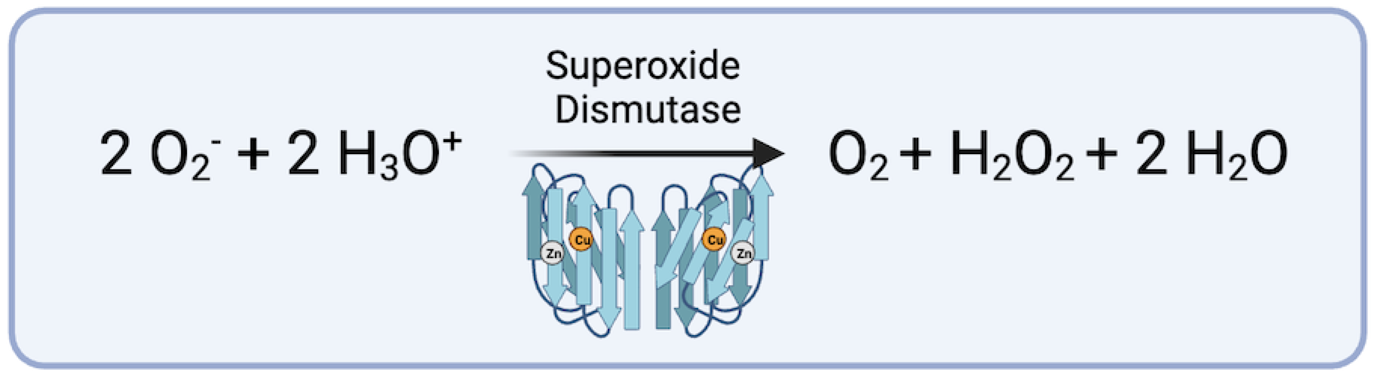 Biomedicines 12 00003 g002