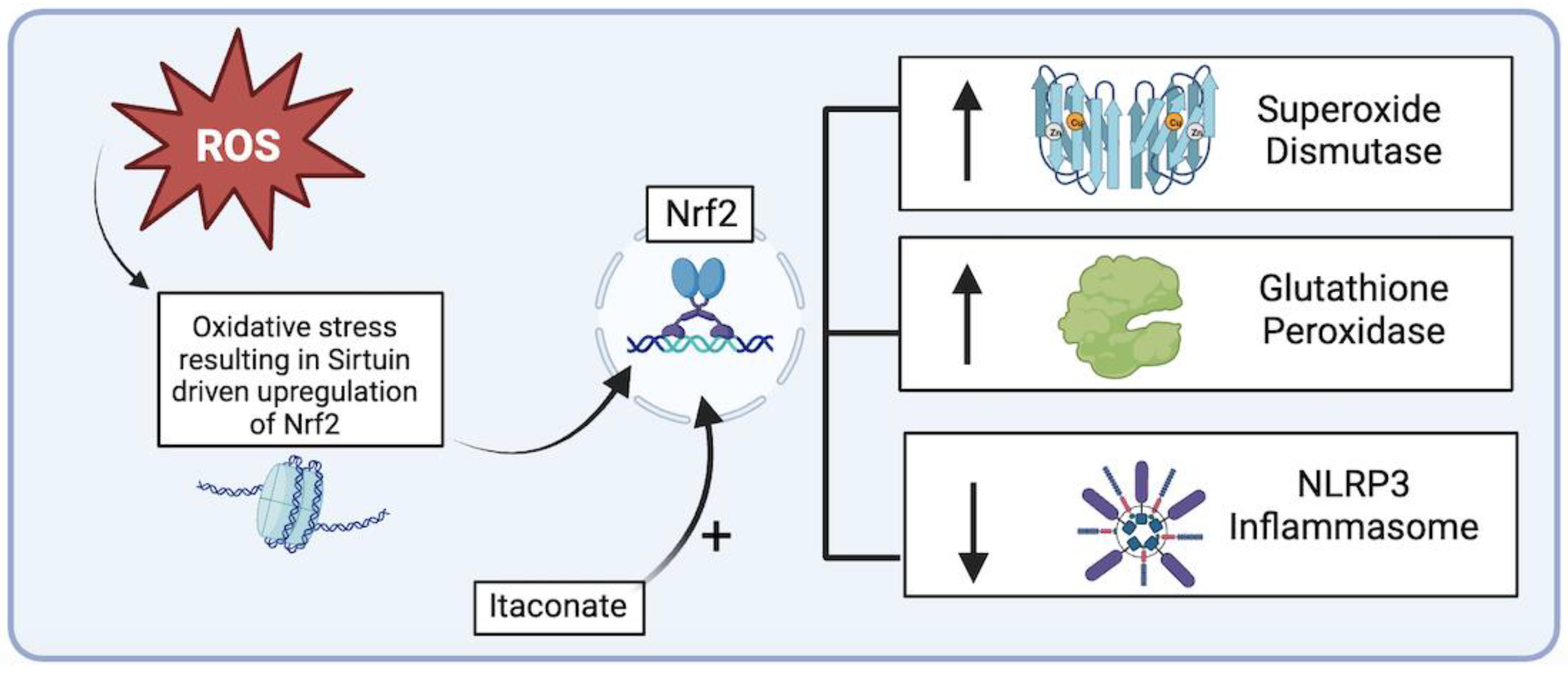 Biomedicines 12 00003 g005