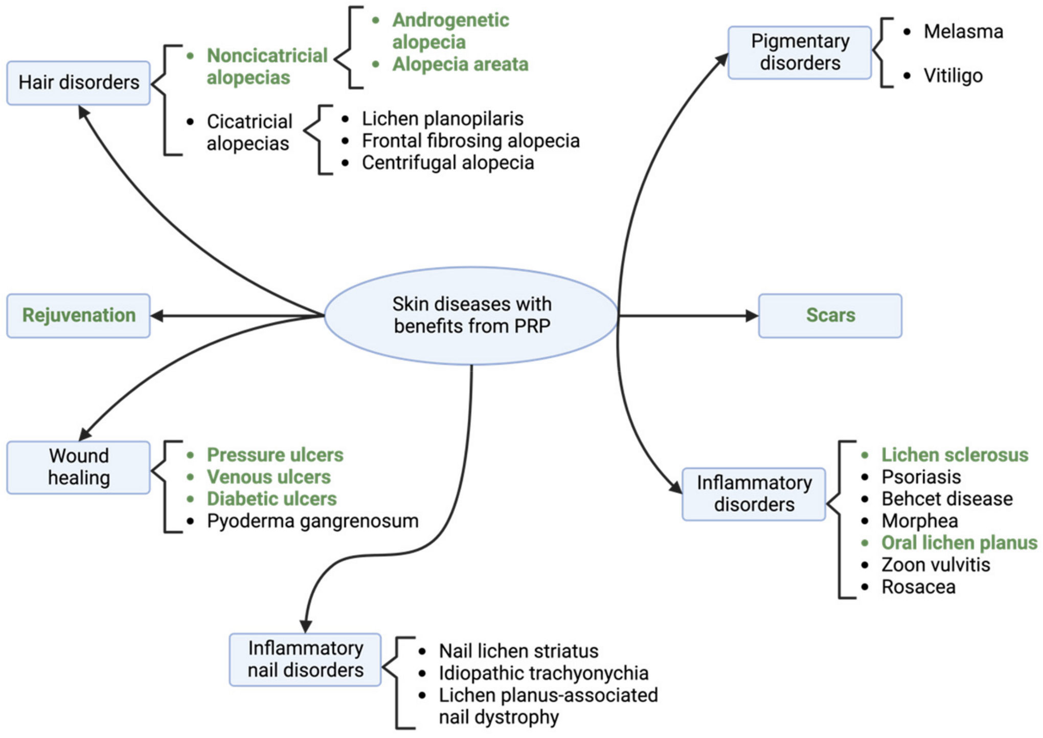 Biomedicines 12 00007 g008