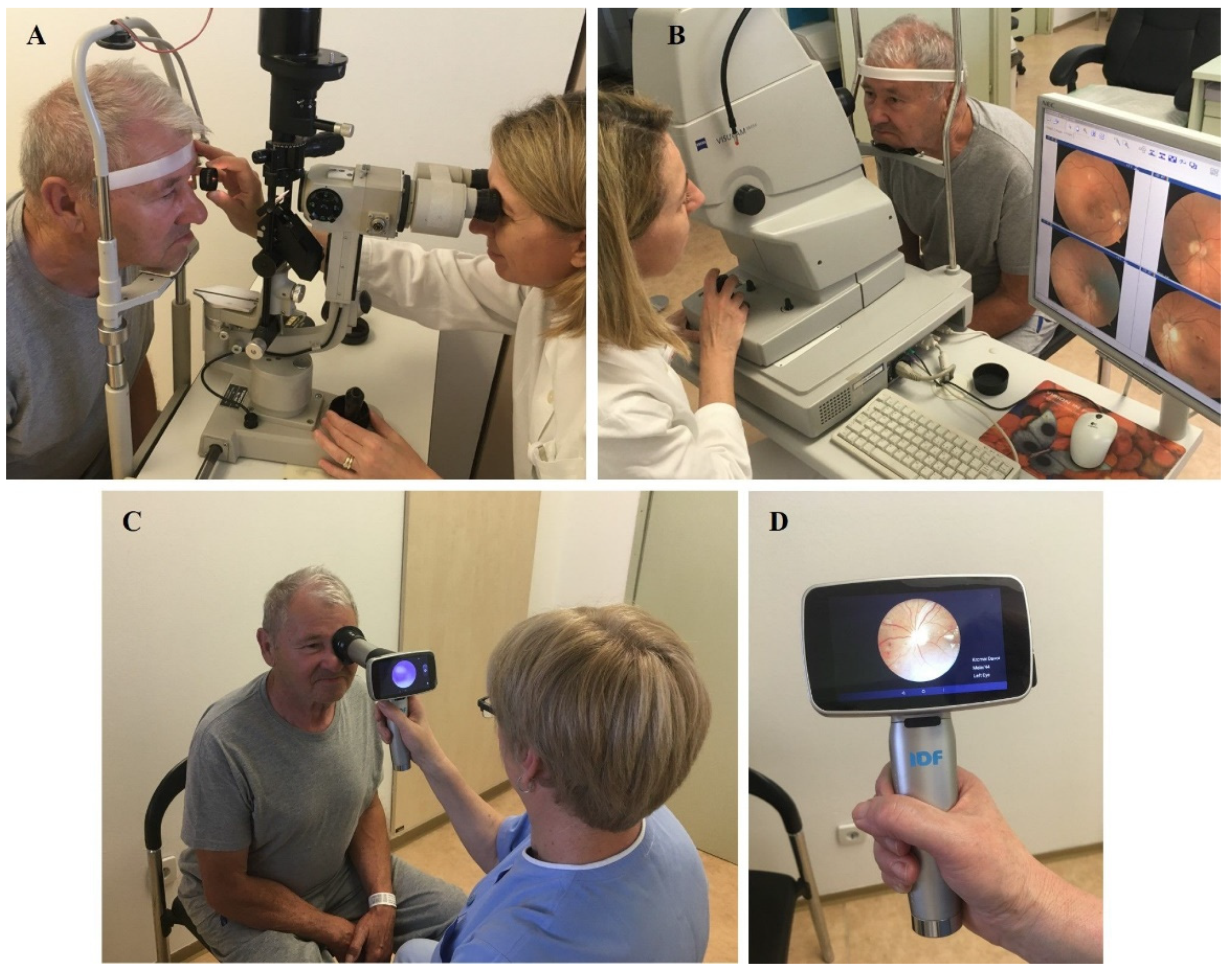 Biomedicines 12 00034 g002