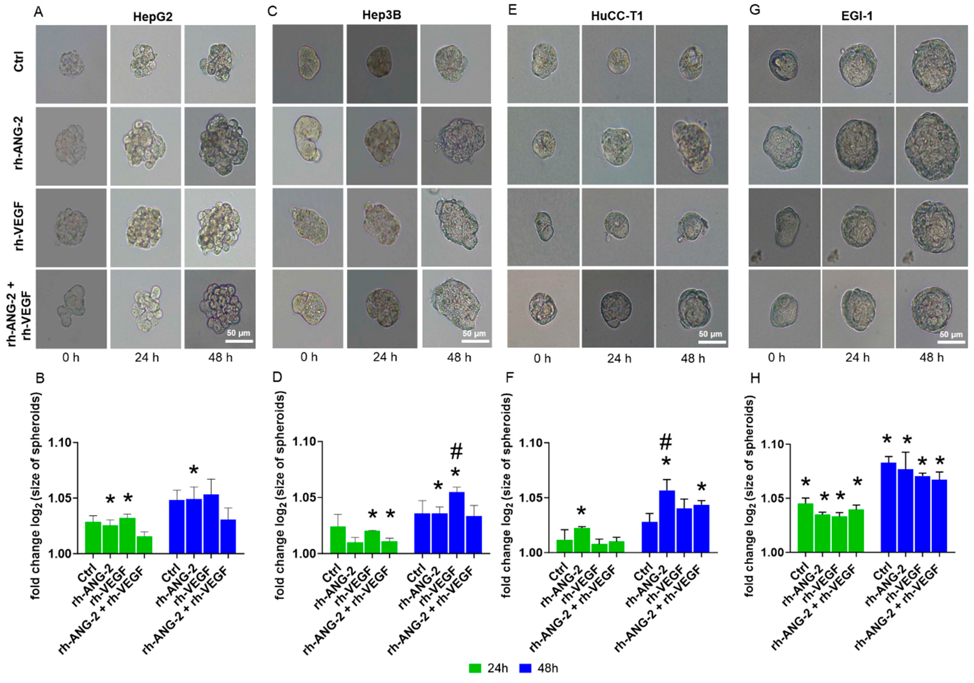 Biomedicines 12 00087 g005