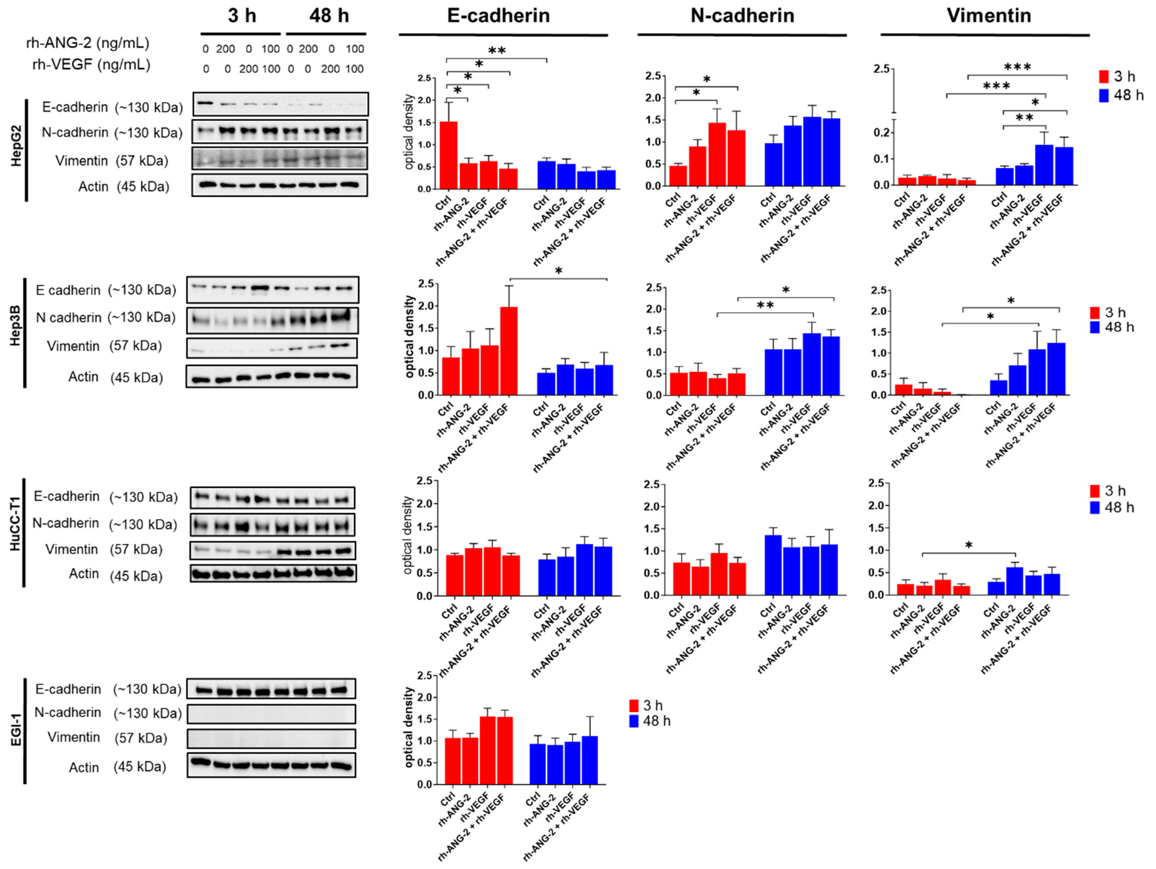 Biomedicines 12 00087 g007