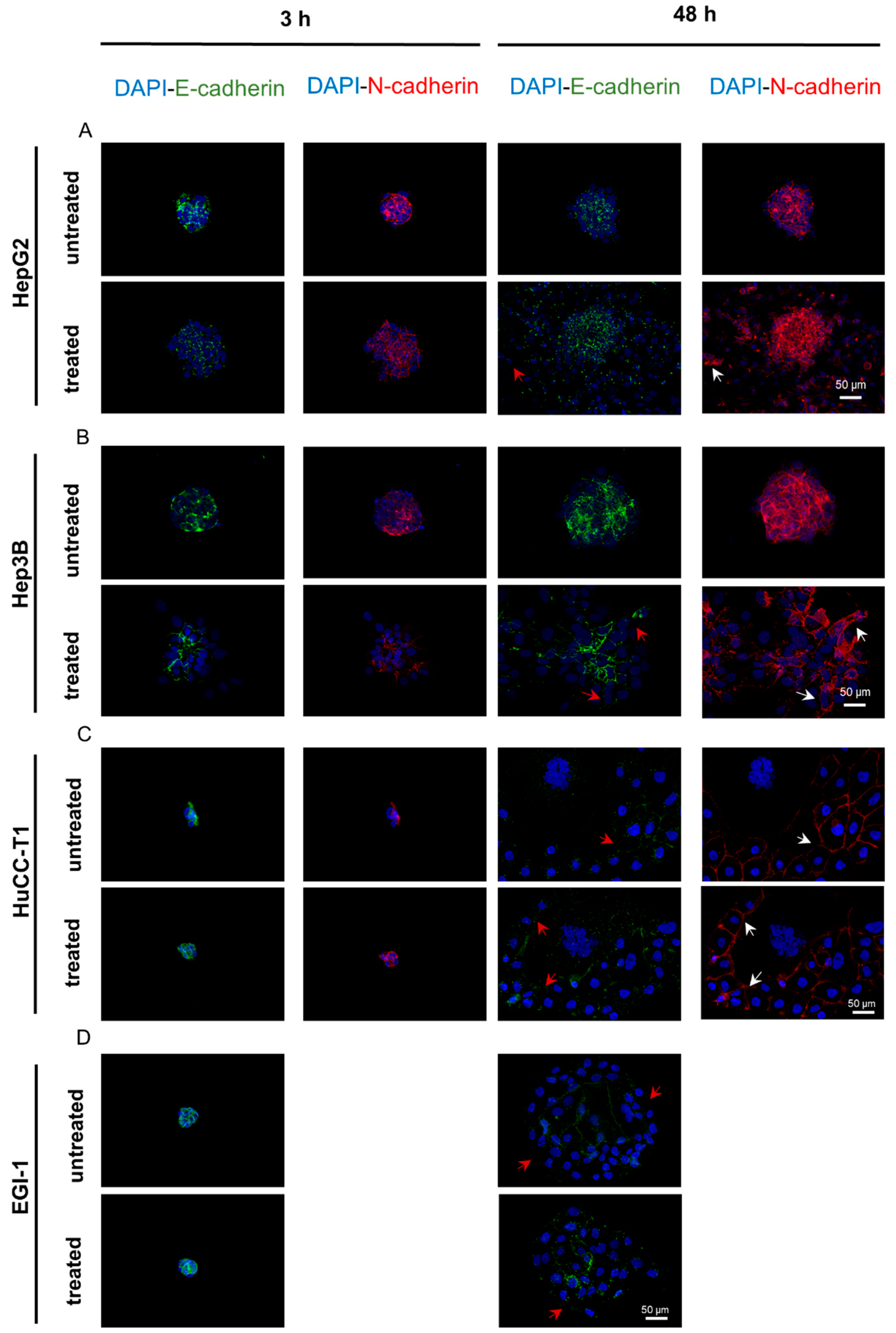 Biomedicines 12 00087 g008